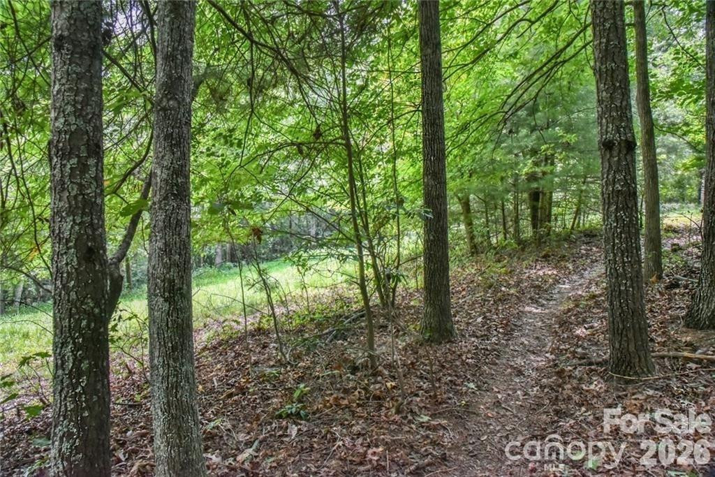 19 Laurel Loop Road - Photo 4