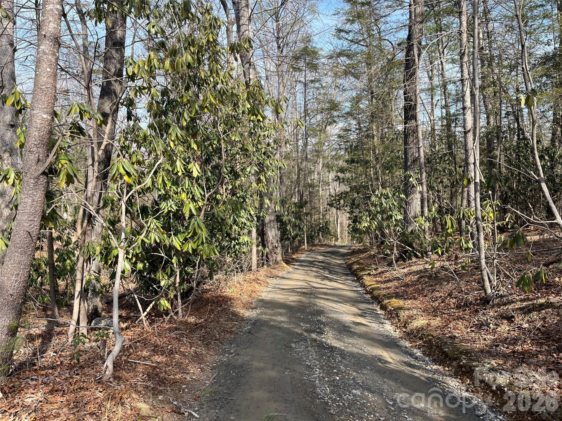 19 Laurel Loop Road - Photo 8