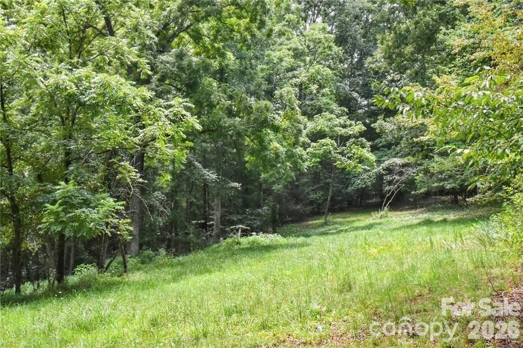 19 Laurel Loop Road - Photo 9