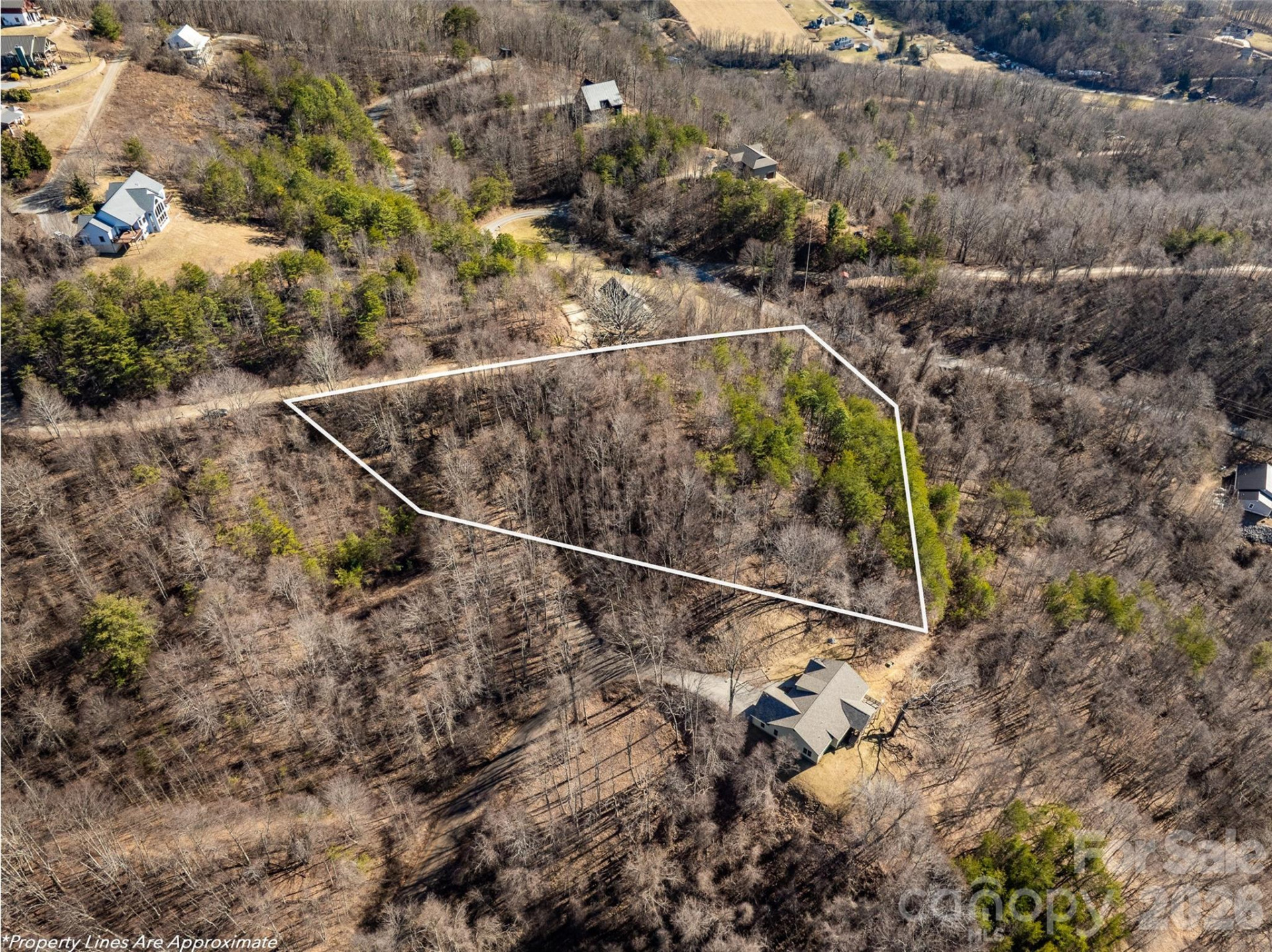 9999 Hunters Ridge Drive - Photo 3