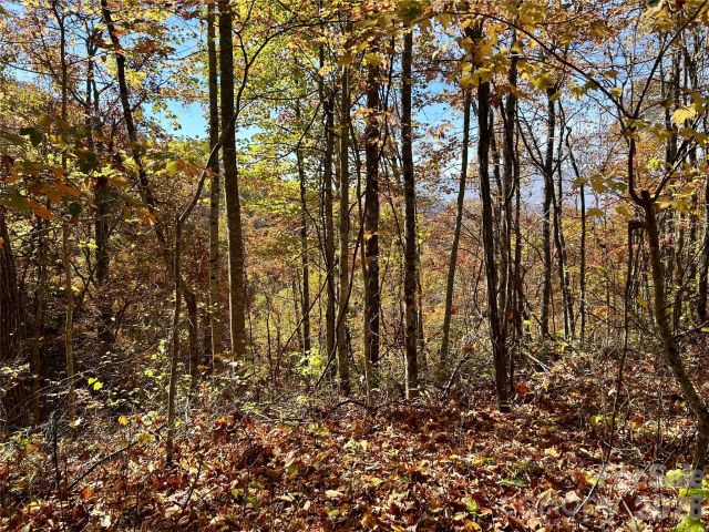 0 Owle View, Bryson City, NC, 28713