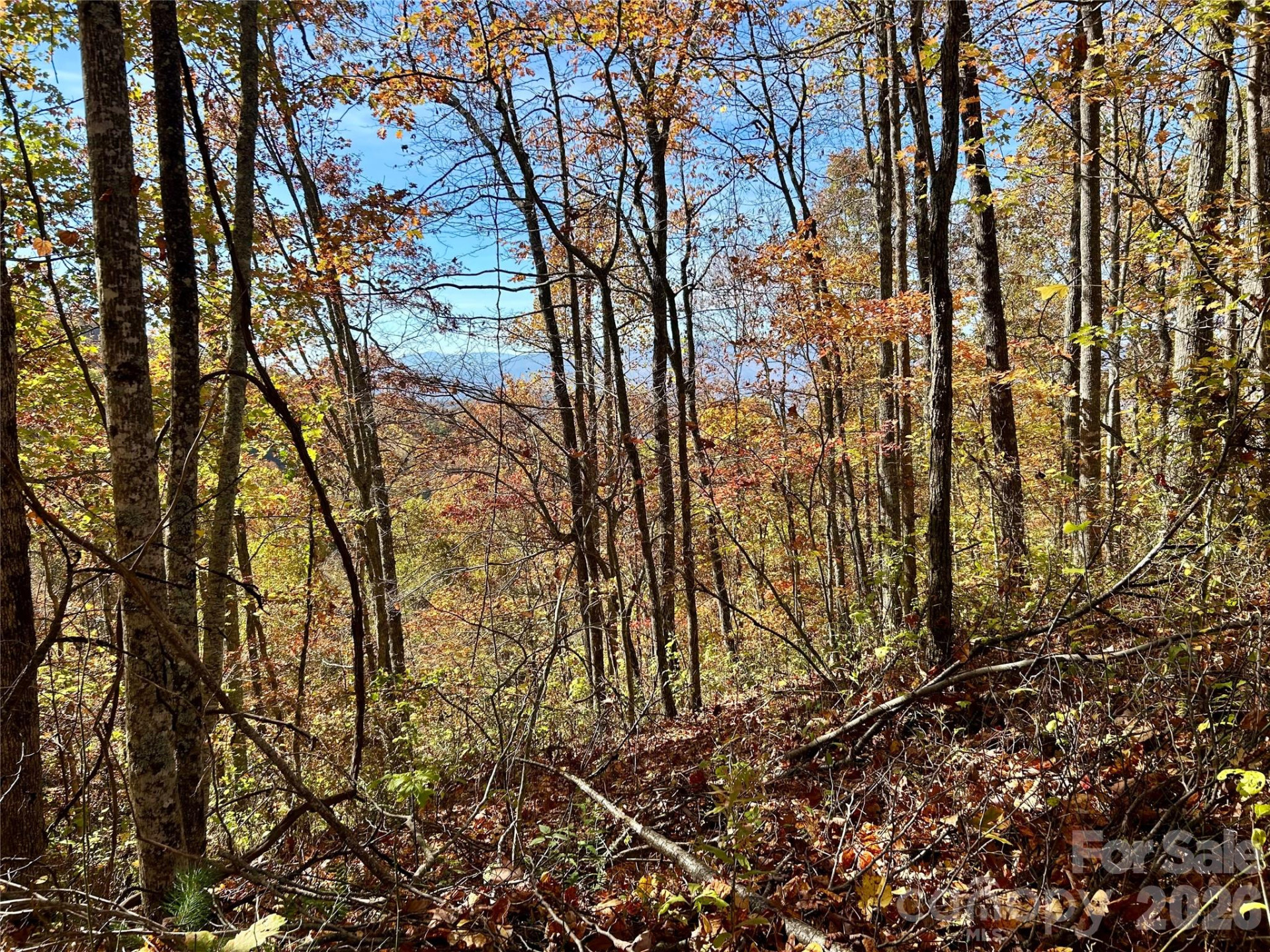 0 Owle View #30 - Photo 2