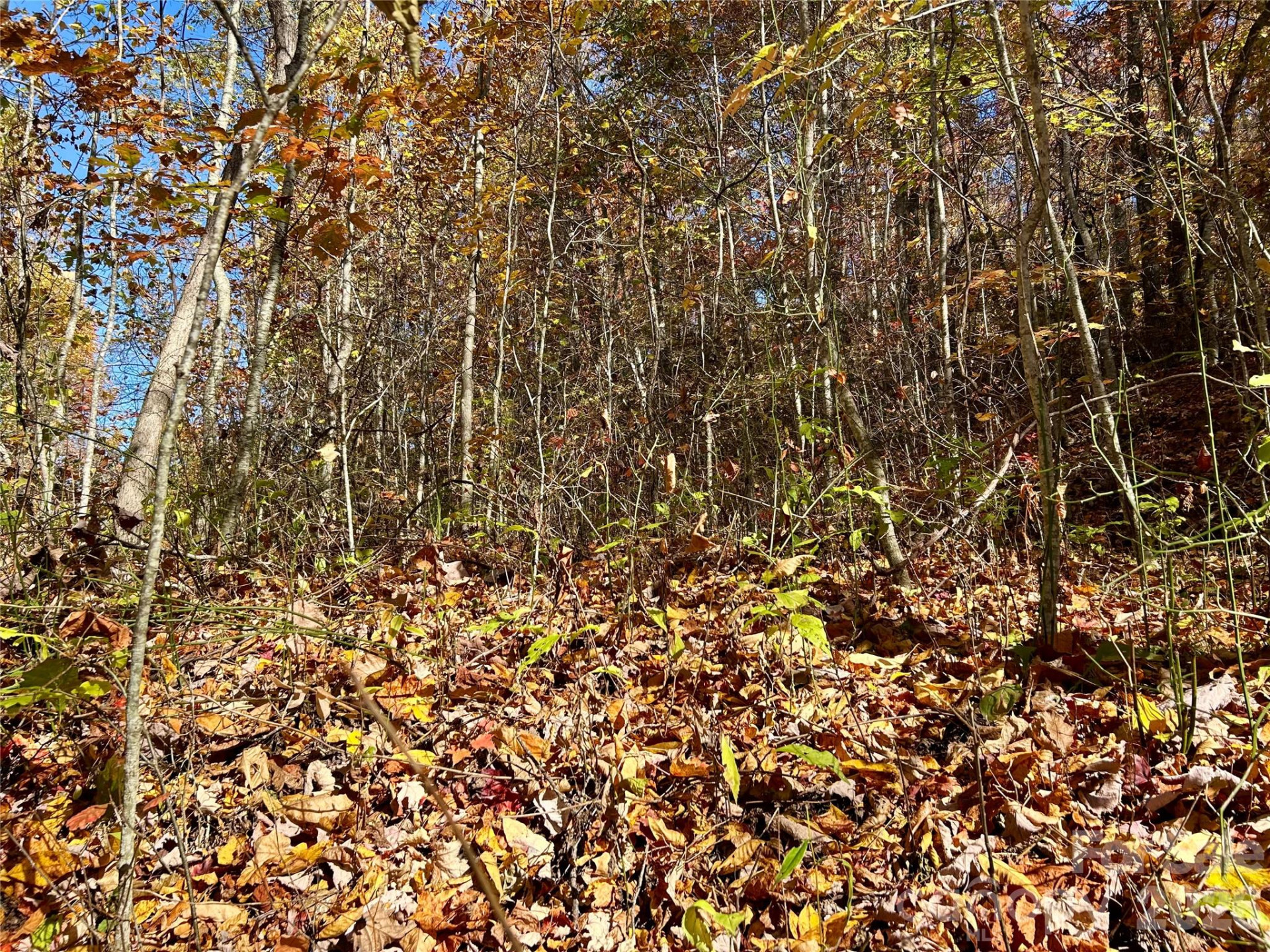 0 Owle View #30 - Photo 3