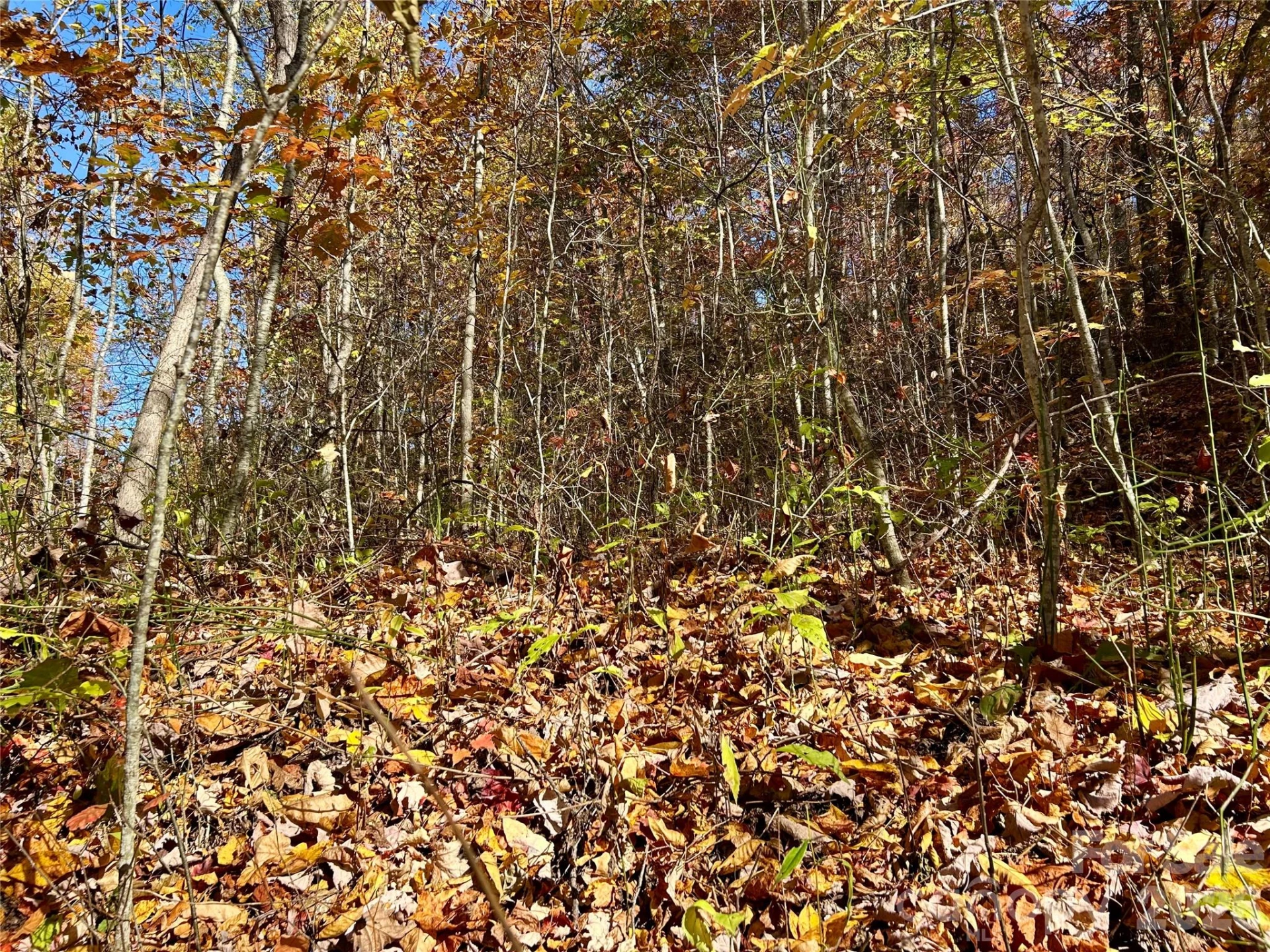 0 Owle View #30 - Photo 3