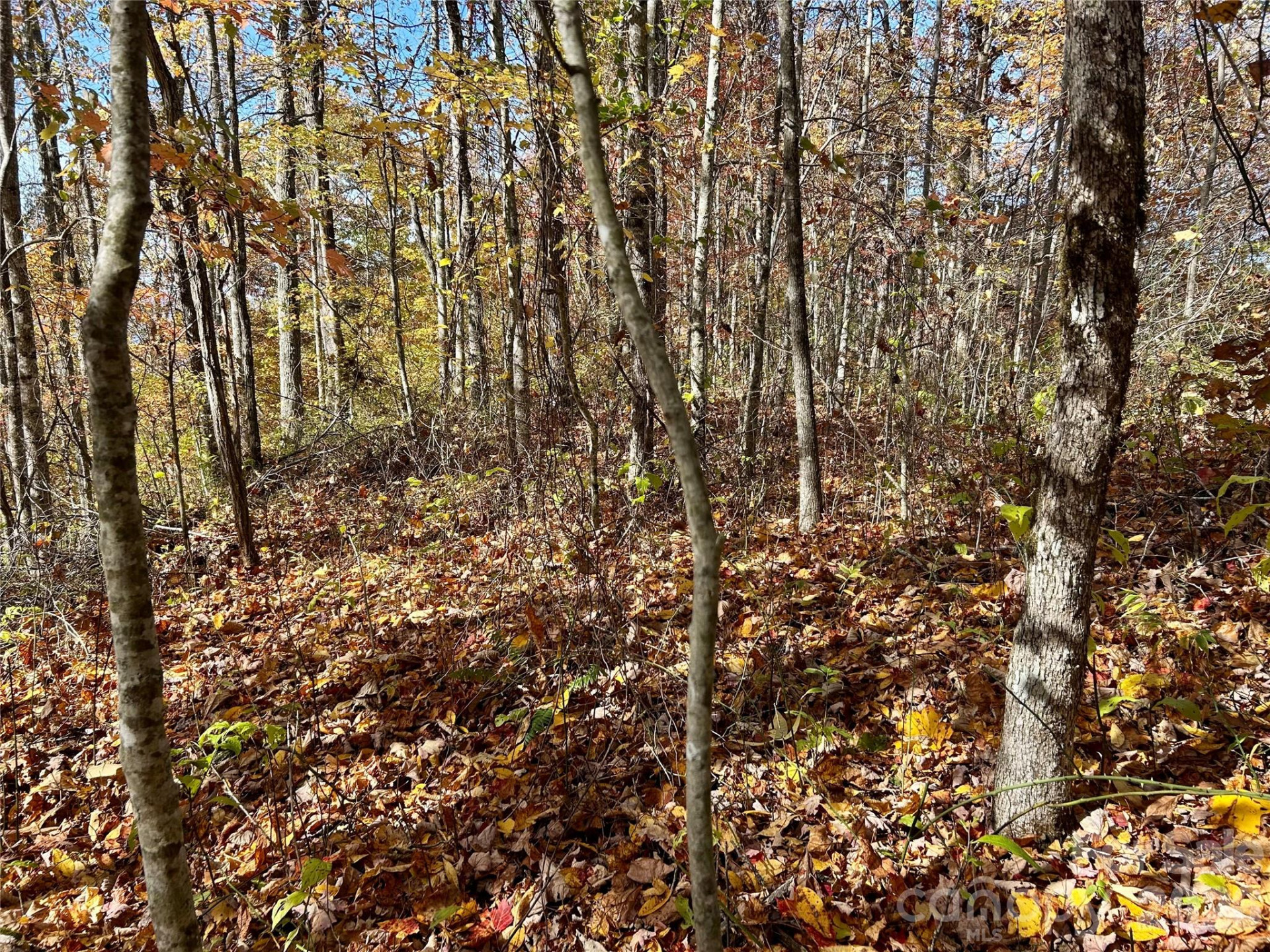 0 Owle View #30 - Photo 4