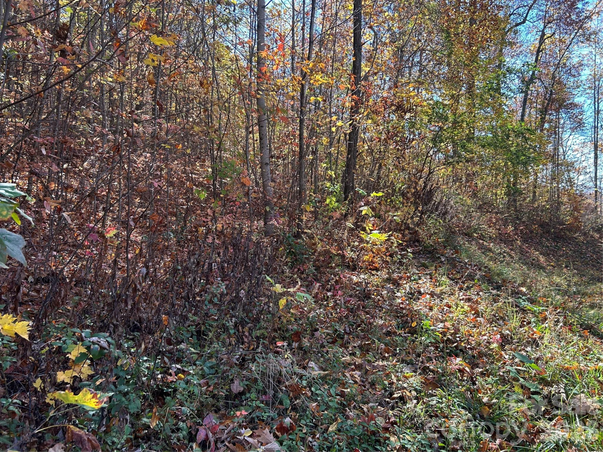 0 Owle View #30 - Photo 6