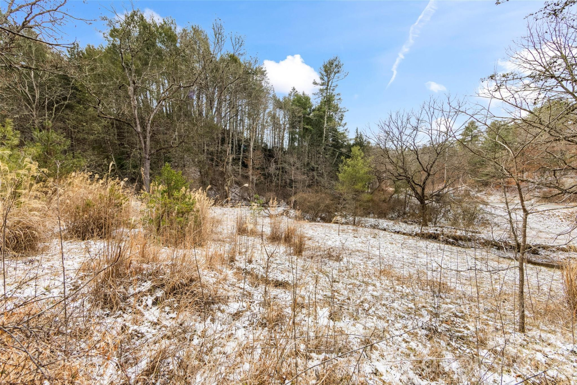 TBD Lower White Oak Road - Photo 2