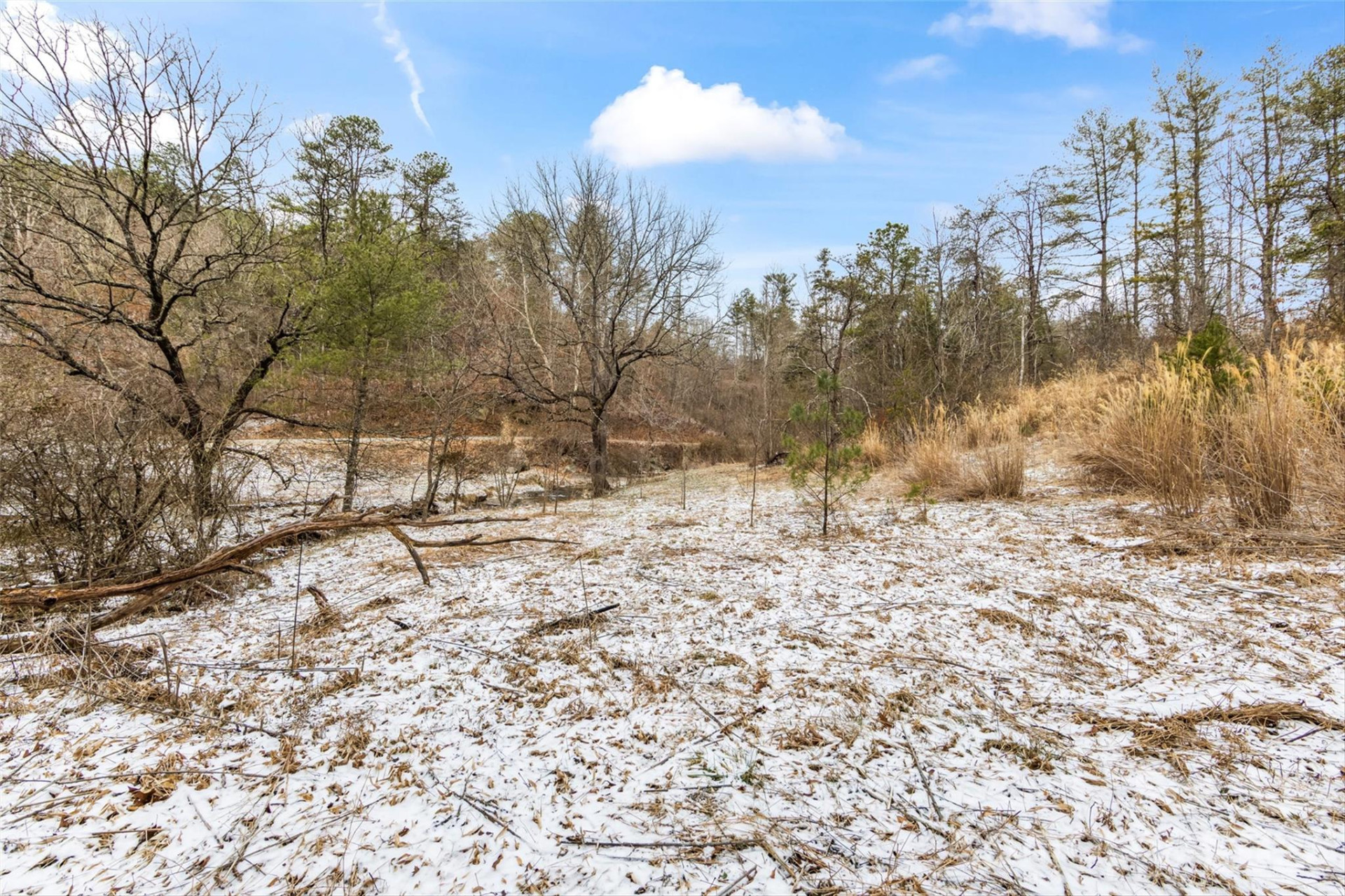 TBD Lower White Oak Road - Photo 12