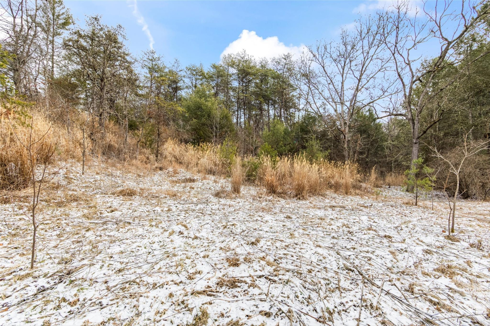 TBD Lower White Oak Road - Photo 13