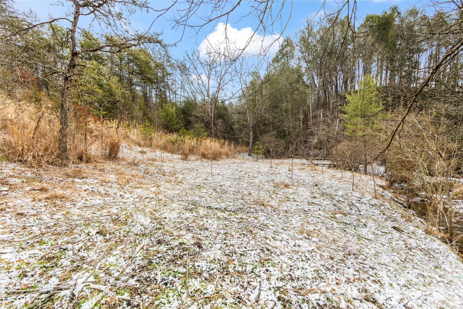 TBD Lower White Oak Road - Photo 15