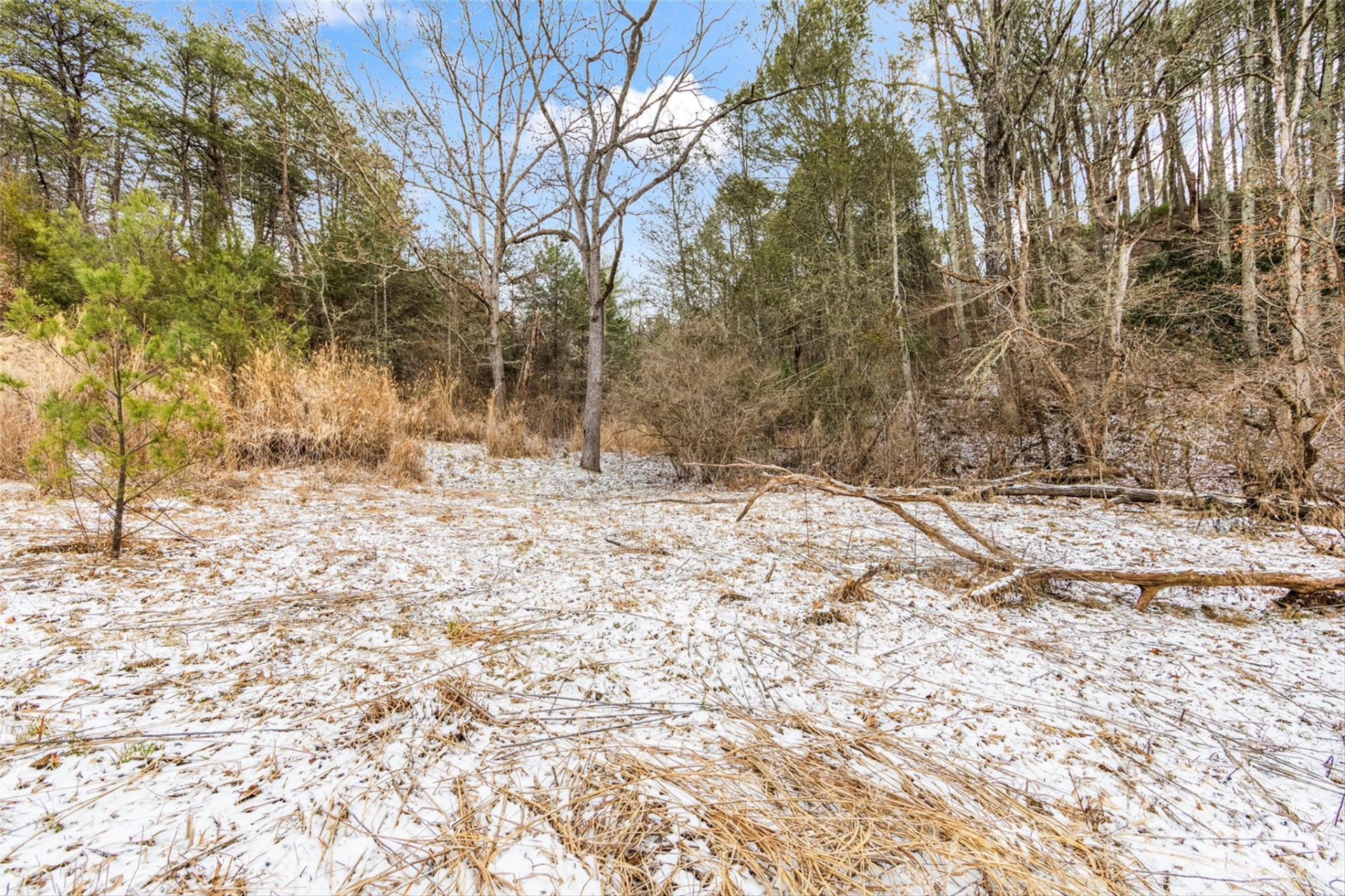 TBD Lower White Oak Road - Photo 3