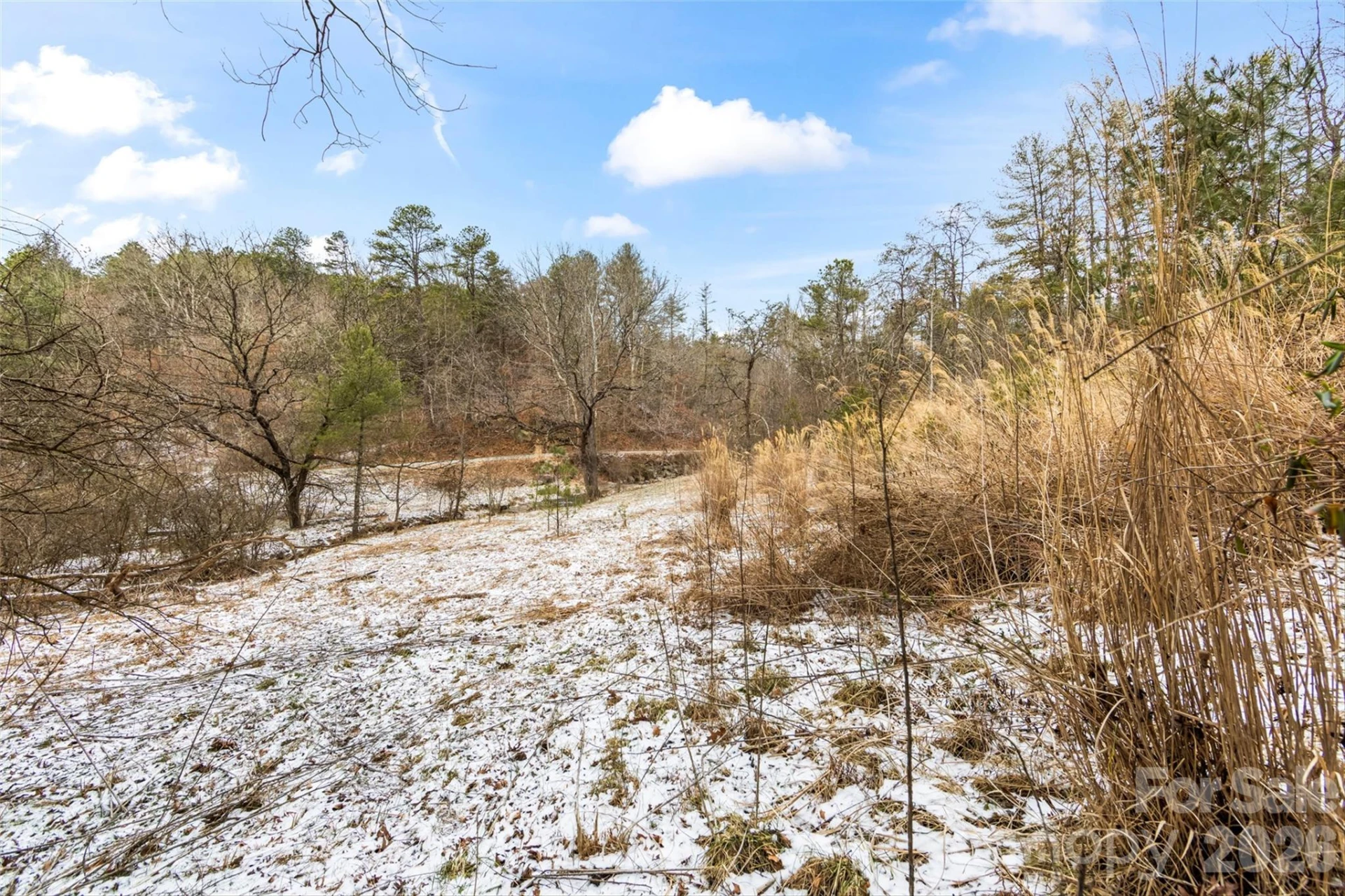 TBD Lower White Oak Road - Photo 4