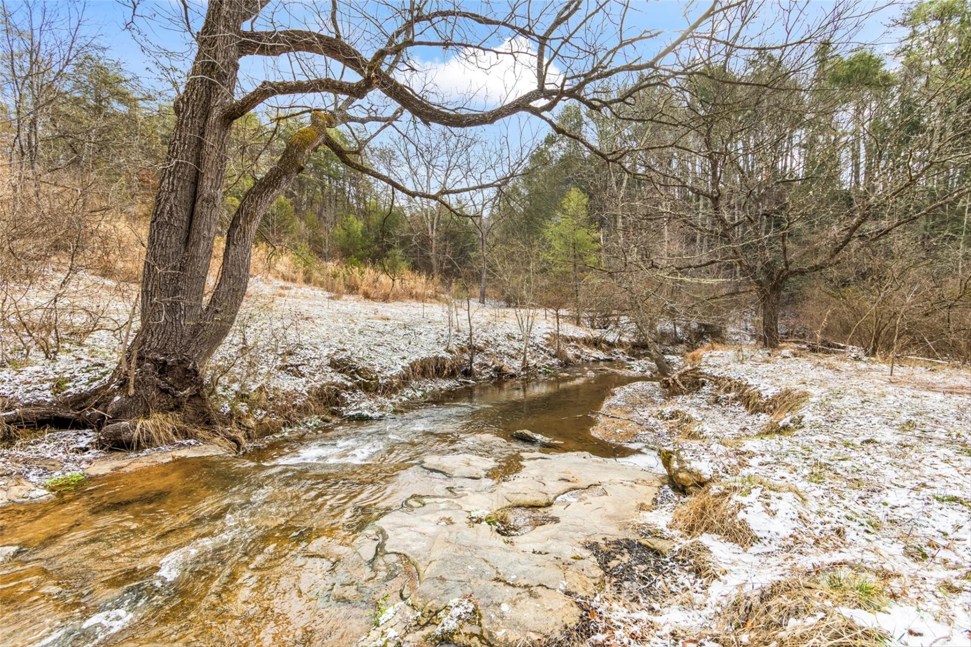 TBD Lower White Oak Road - Photo 5