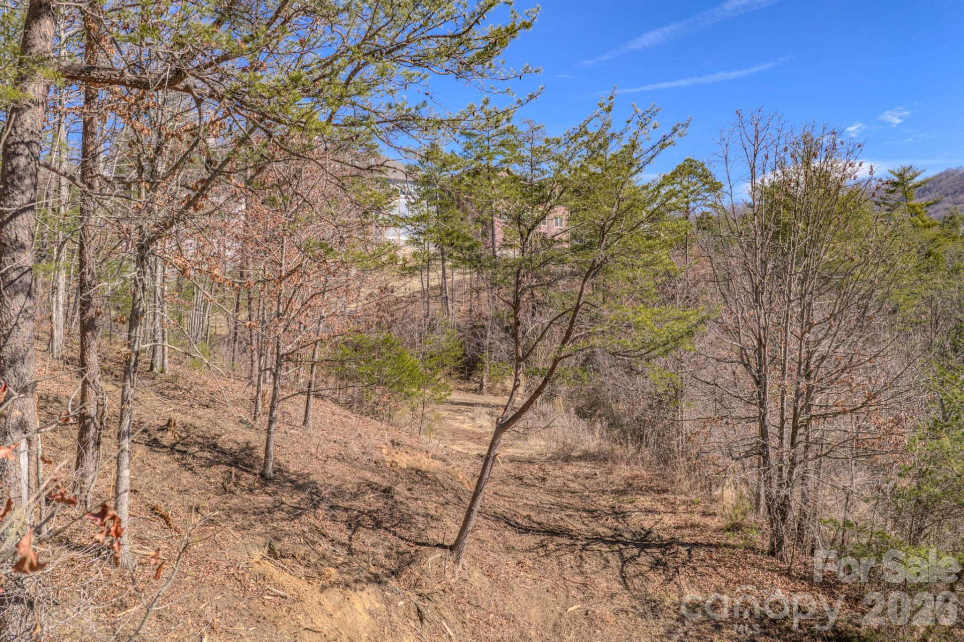 99999 Ralph Lunsford Road #Lot 2 - Photo 11