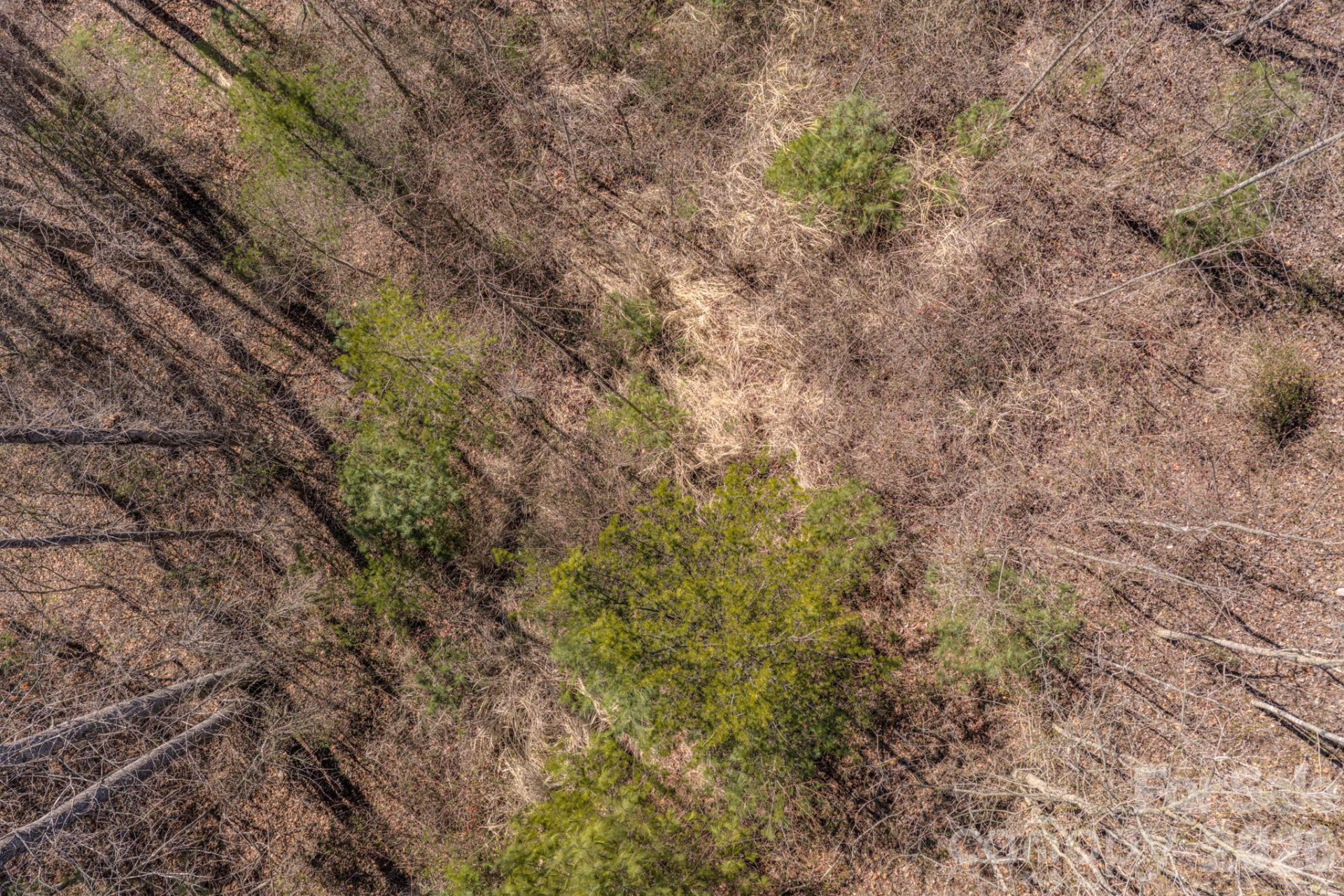 99999 Ralph Lunsford Road #Lot 2 - Photo 8