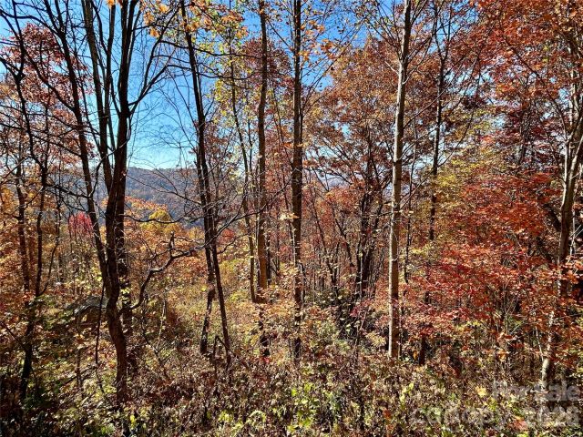 0 Grizzly Ridge, Bryson City, NC, 28713