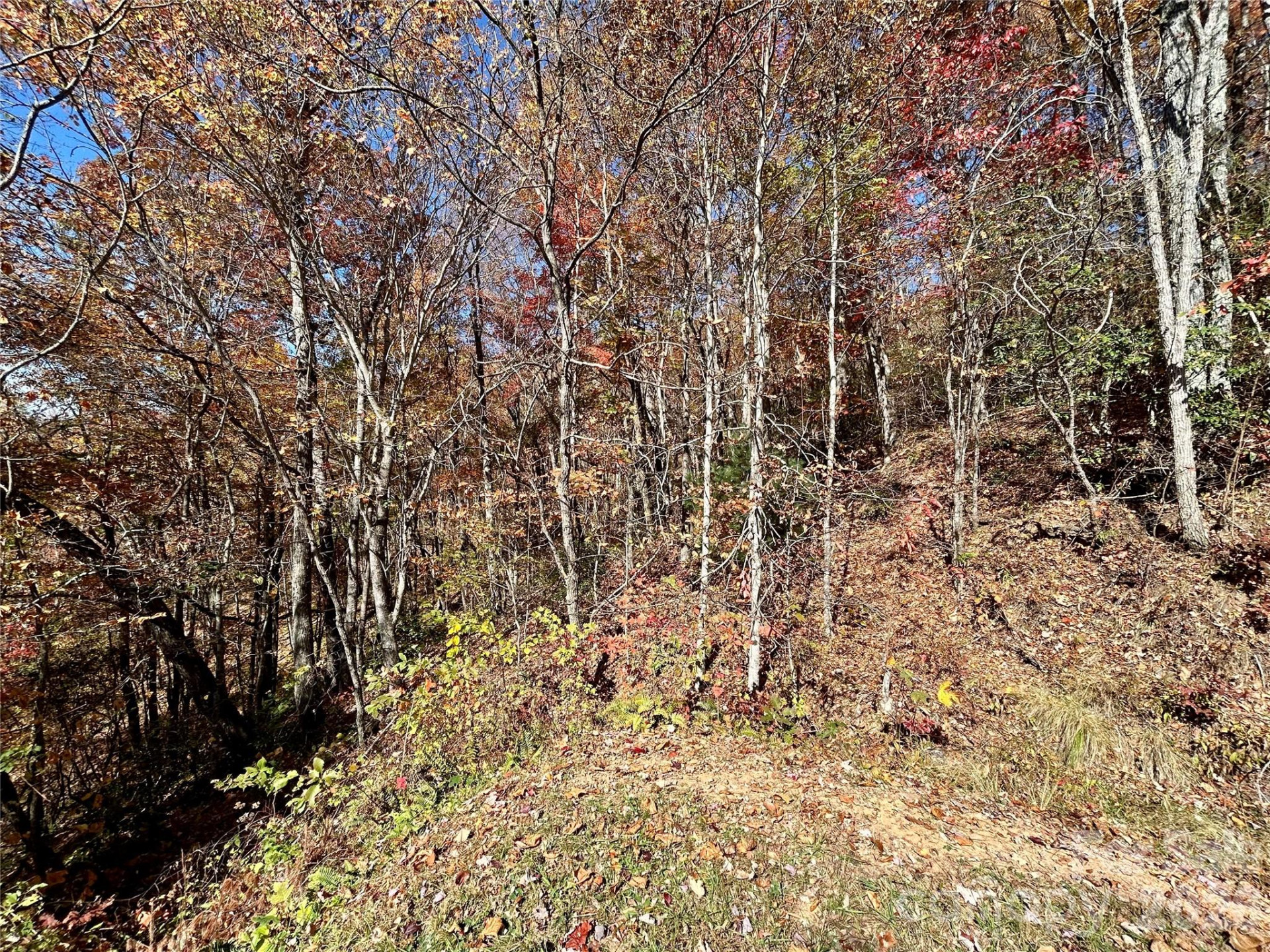 0 Grizzly Ridge #57 - Photo 3