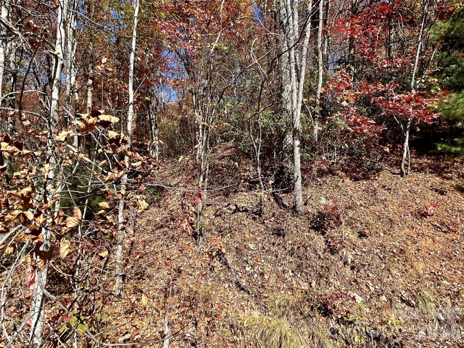 0 Grizzly Ridge #57 - Photo 4