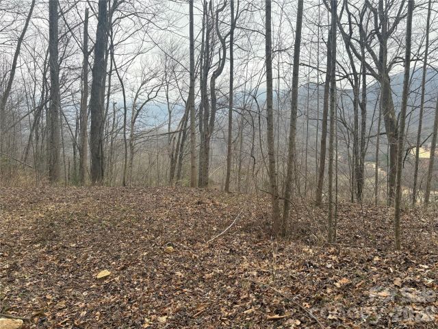 00 Country Club Drive, Whittier, NC, 28789