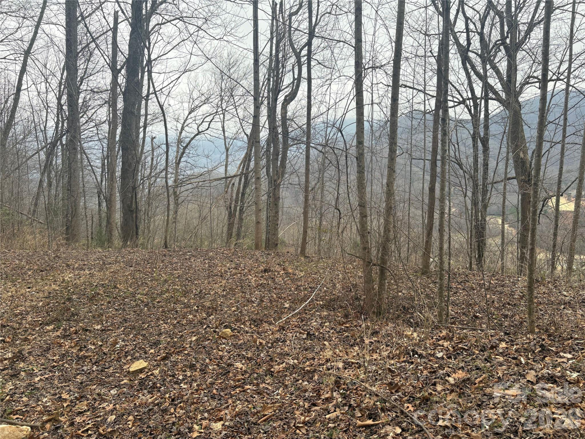 00 Country Club Drive #11