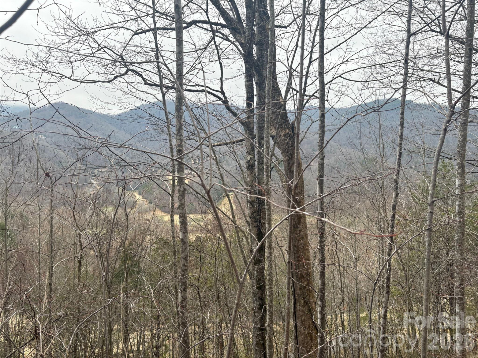 00 Country Club Drive #11 - Photo 2