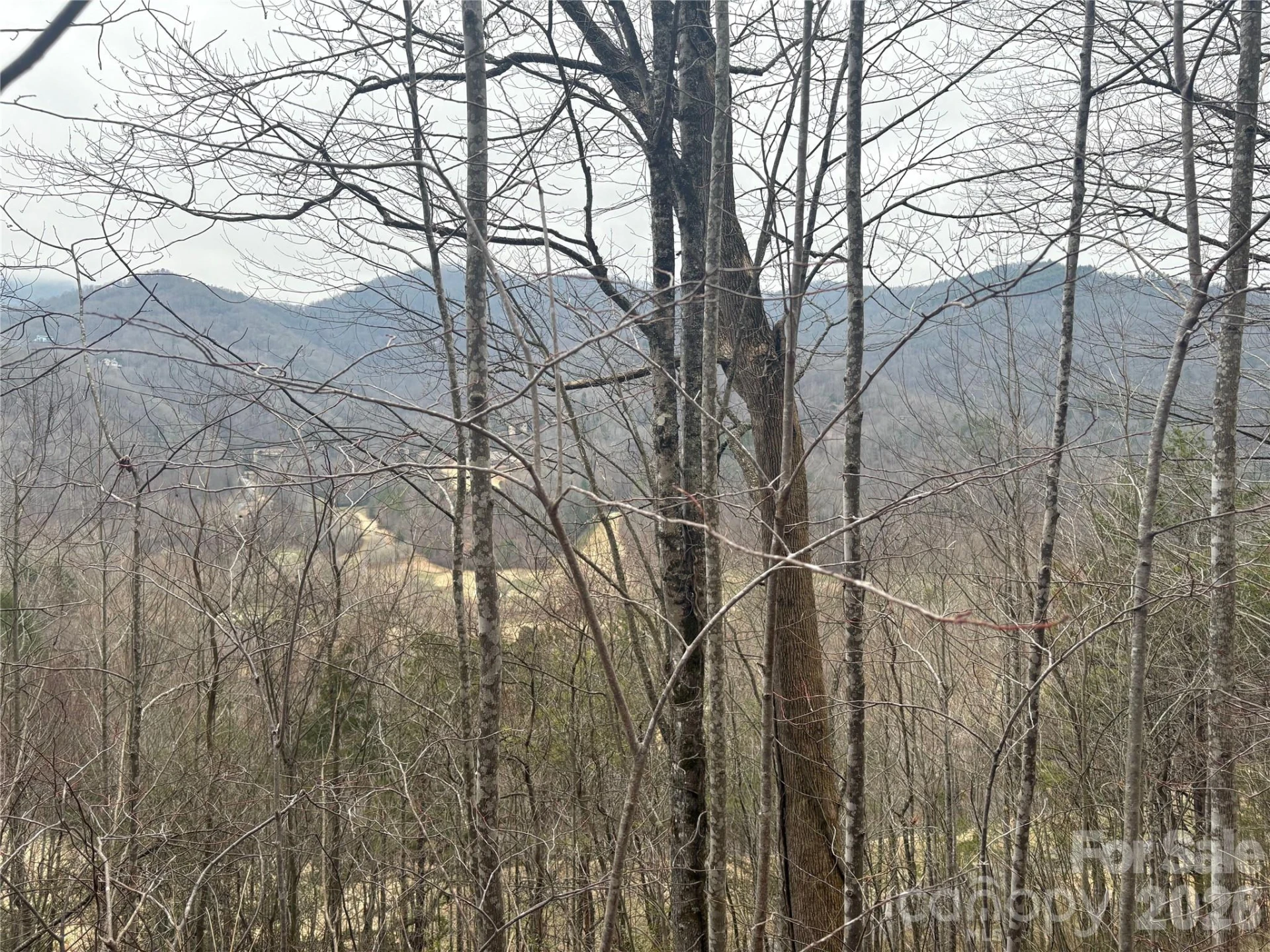 00 Country Club Drive #11 - Photo 2