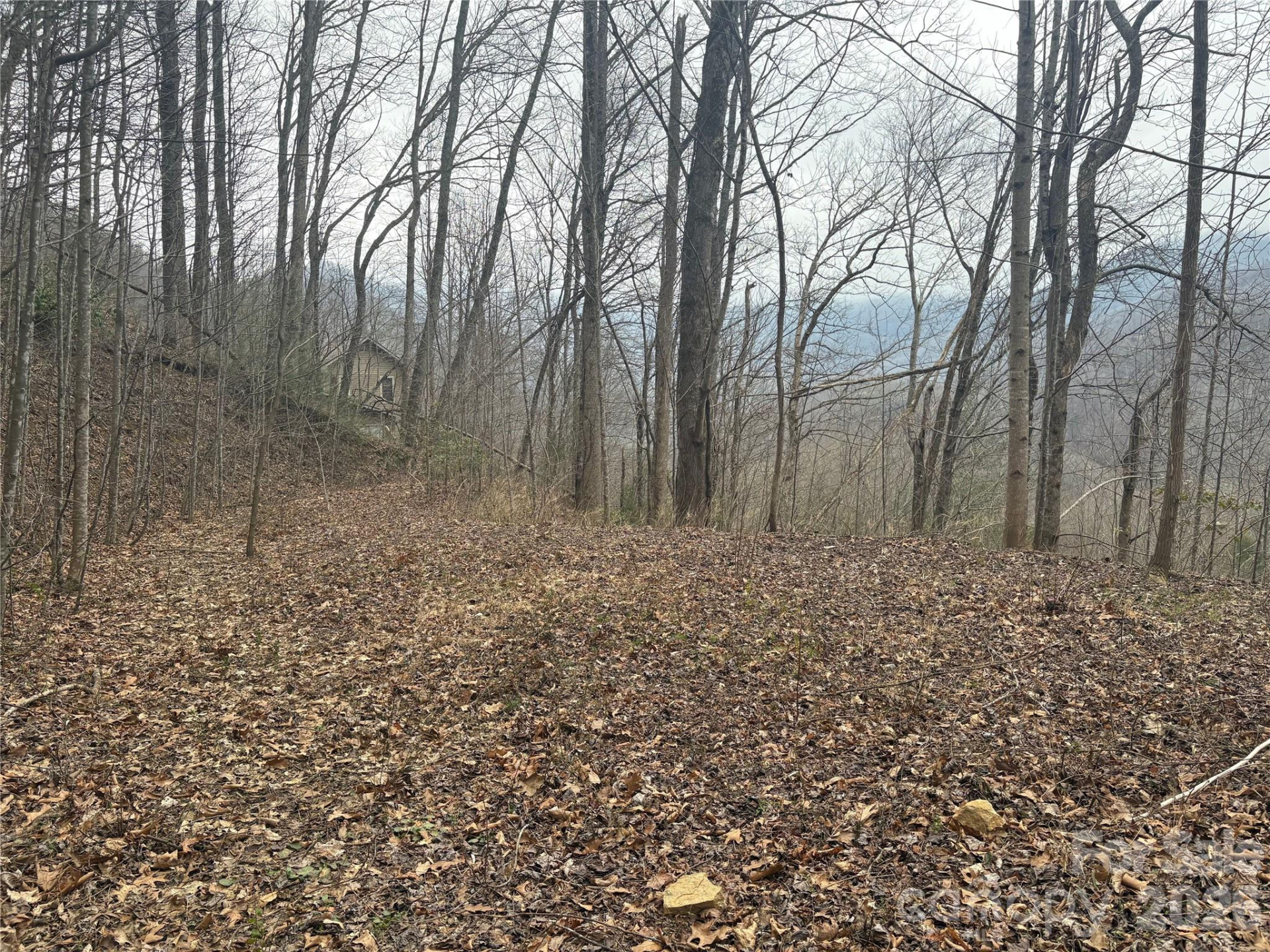 00 Country Club Drive #11 - Photo 11