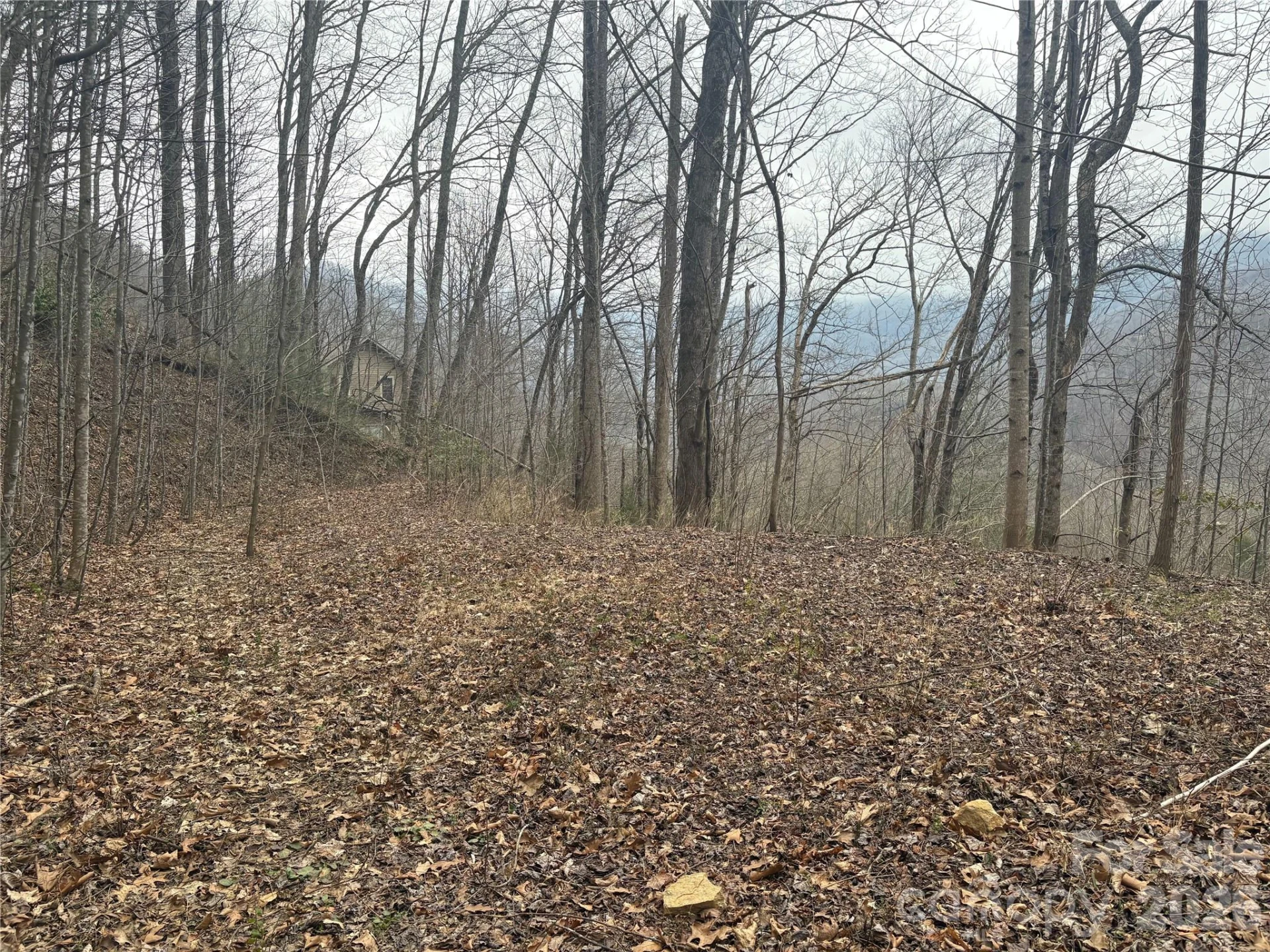 00 Country Club Drive #11 - Photo 11