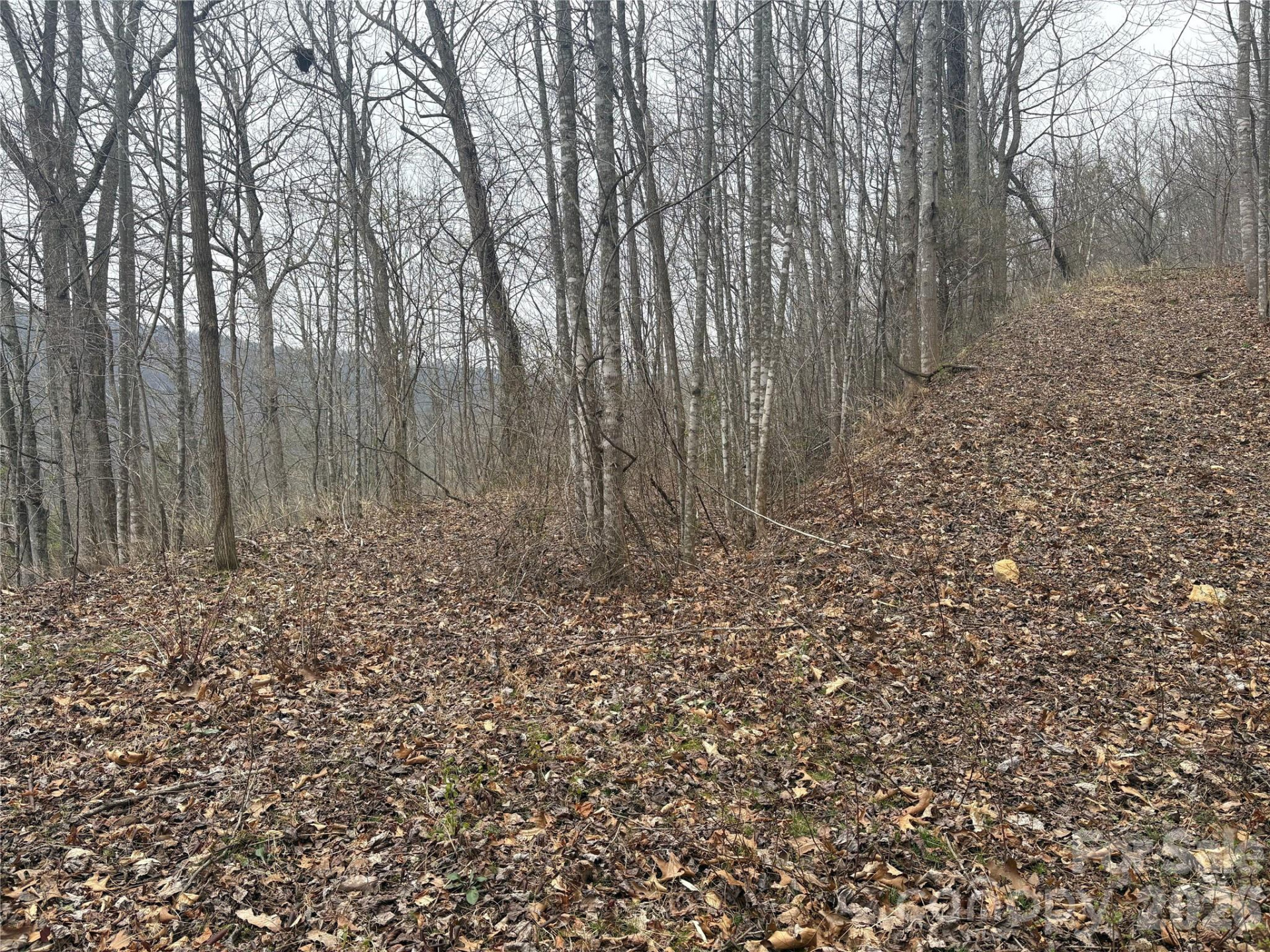 00 Country Club Drive #11 - Photo 13