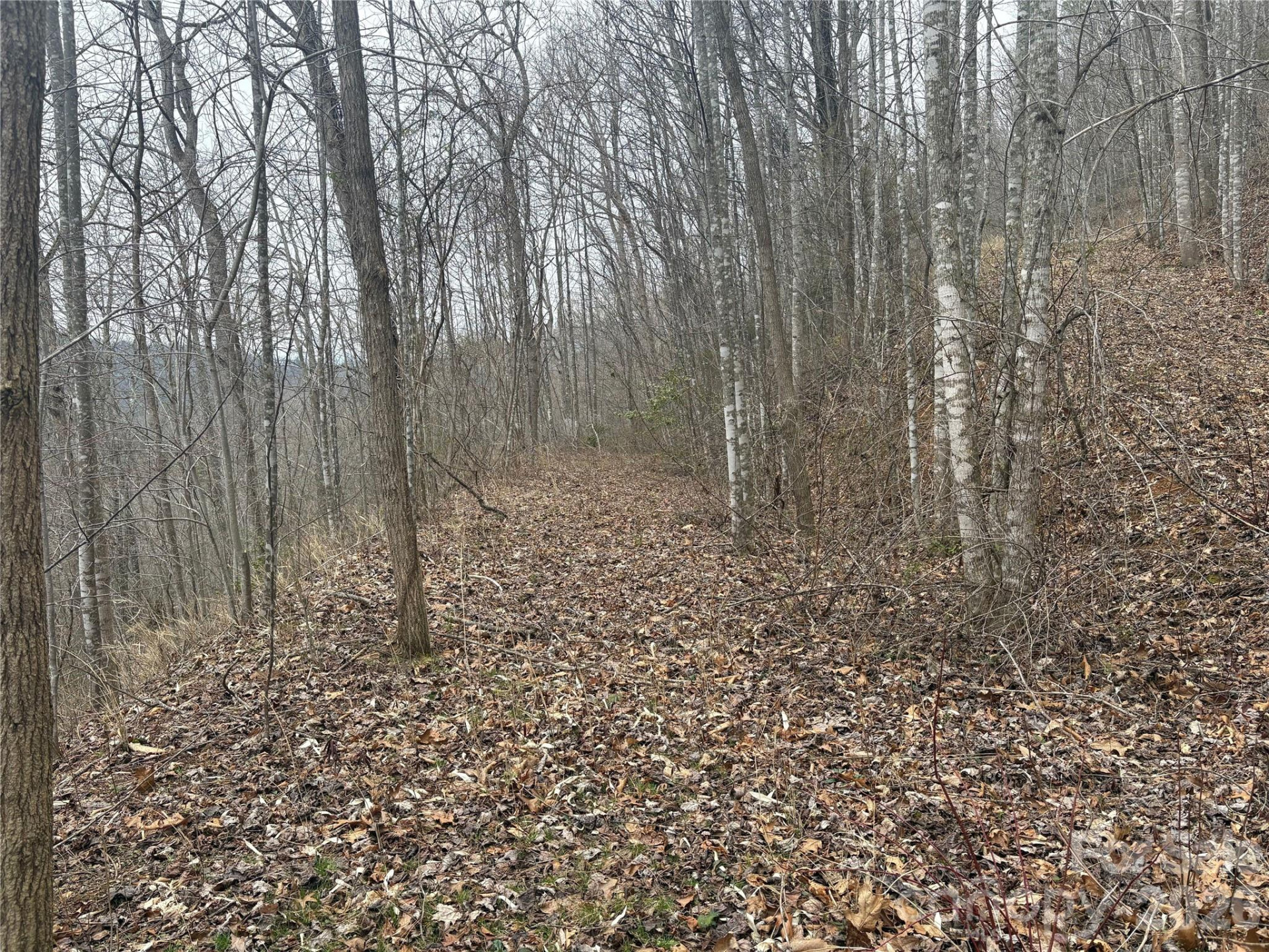 00 Country Club Drive #11 - Photo 14