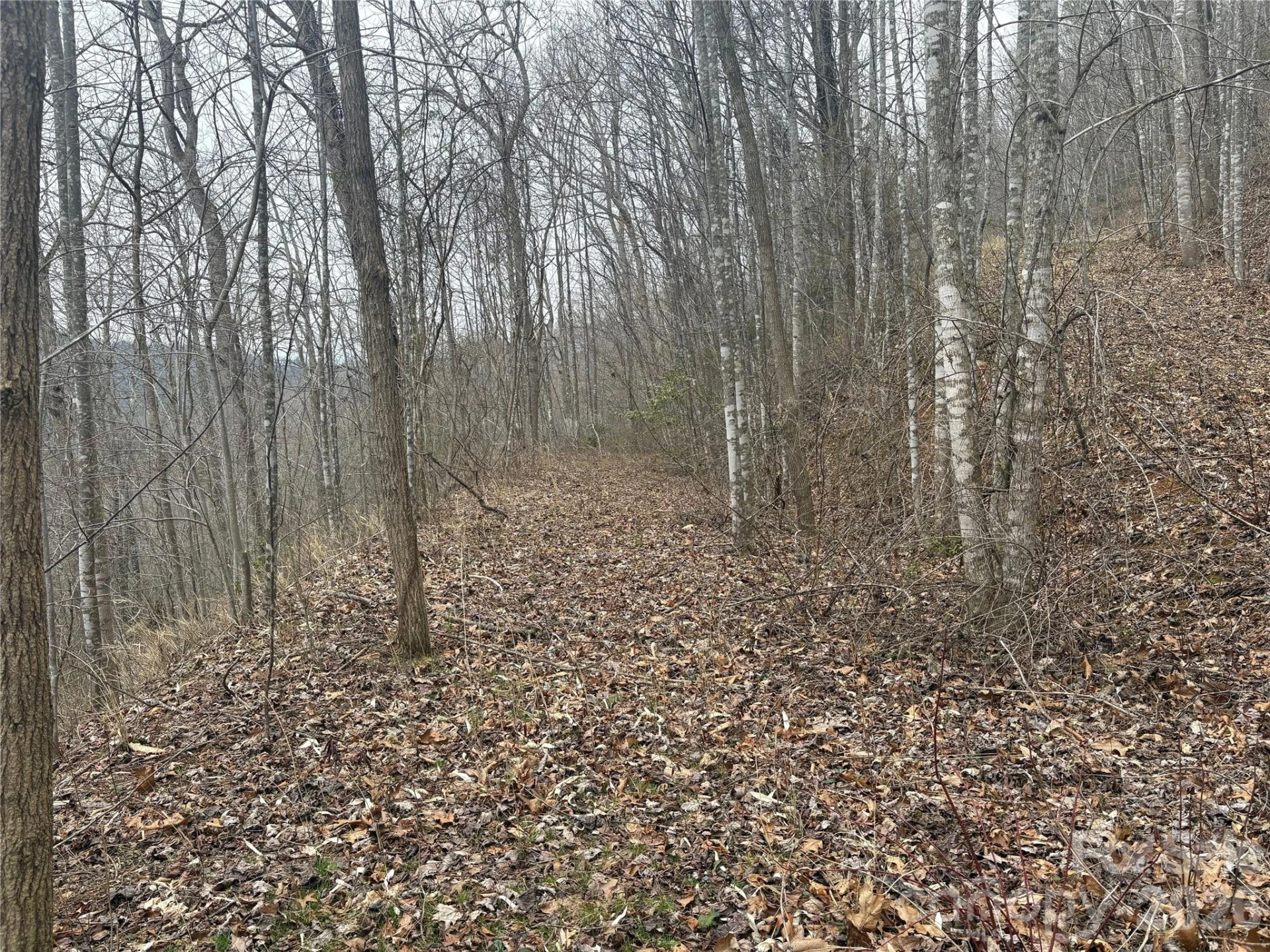 00 Country Club Drive #11 - Photo 14
