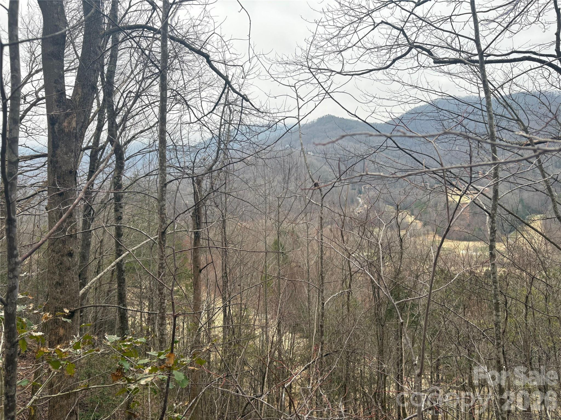 00 Country Club Drive #11 - Photo 15