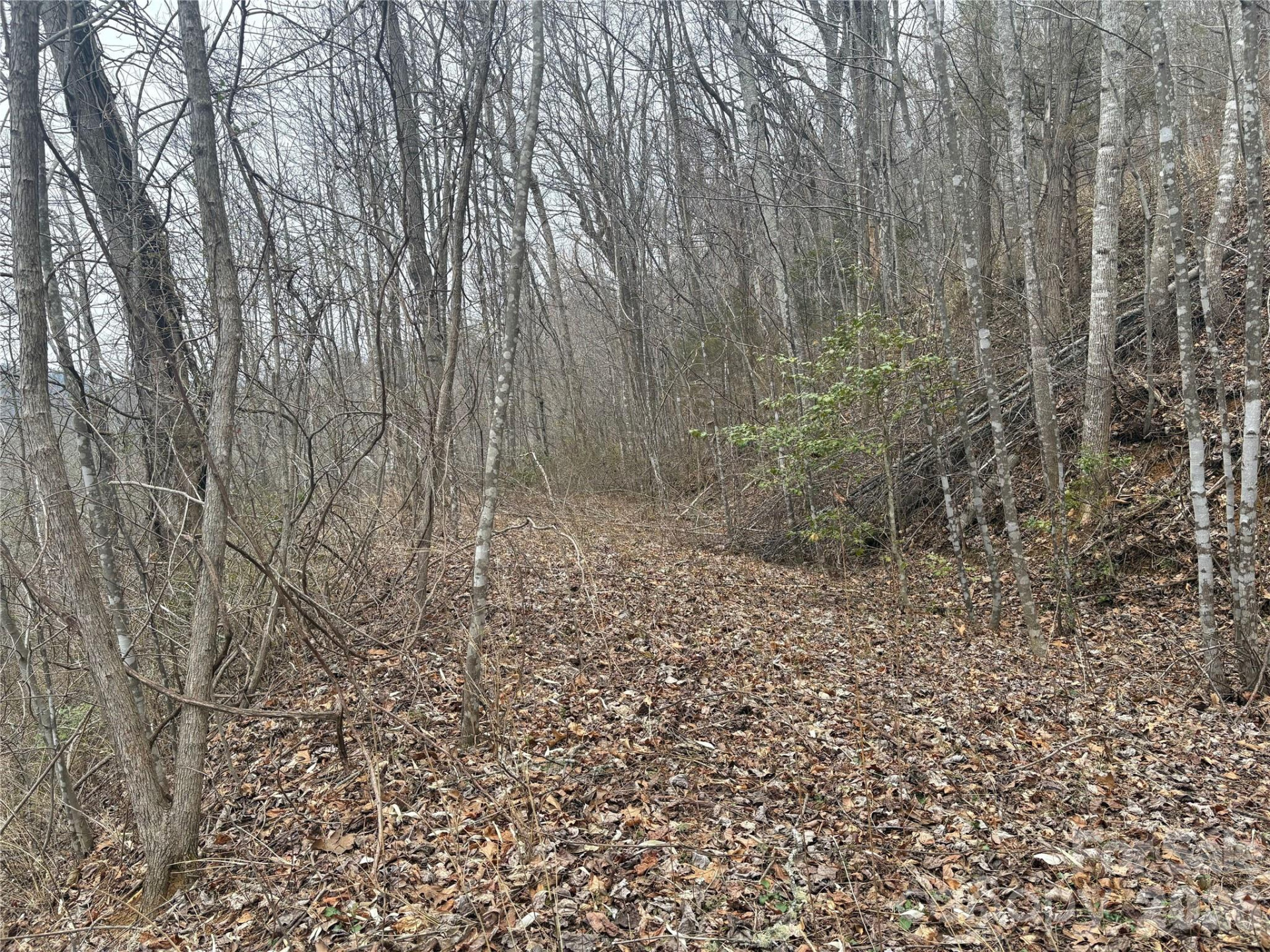 00 Country Club Drive #11 - Photo 18