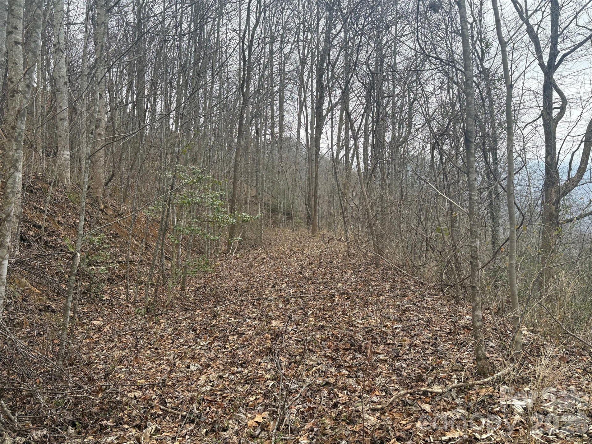 00 Country Club Drive #11 - Photo 3