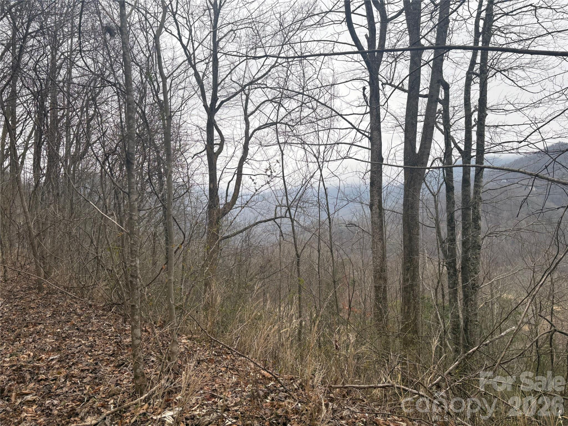 00 Country Club Drive #11 - Photo 21