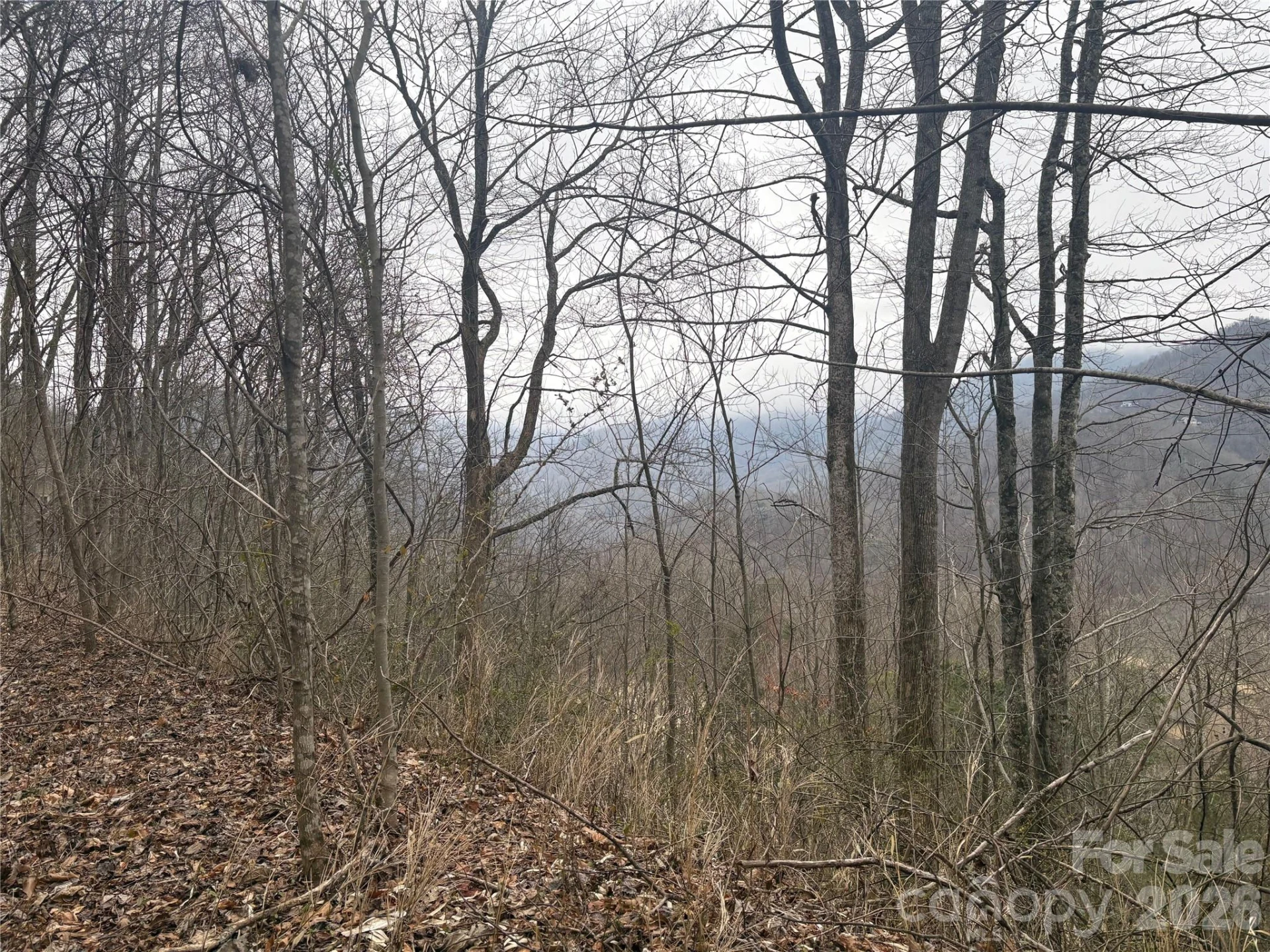 00 Country Club Drive #11 - Photo 21