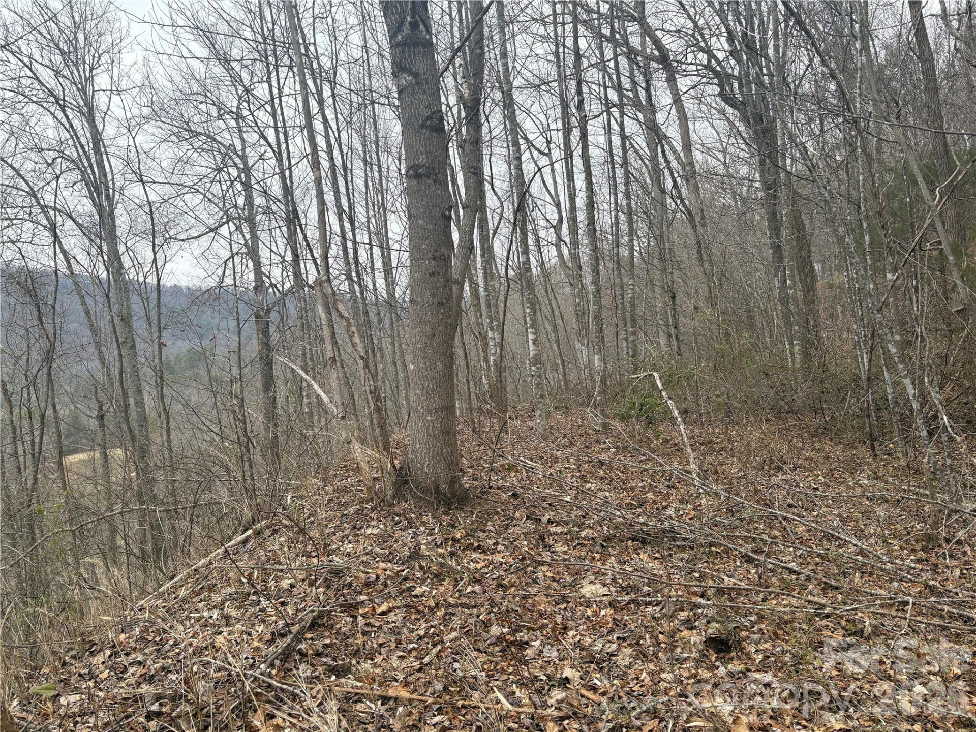 00 Country Club Drive #11 - Photo 4