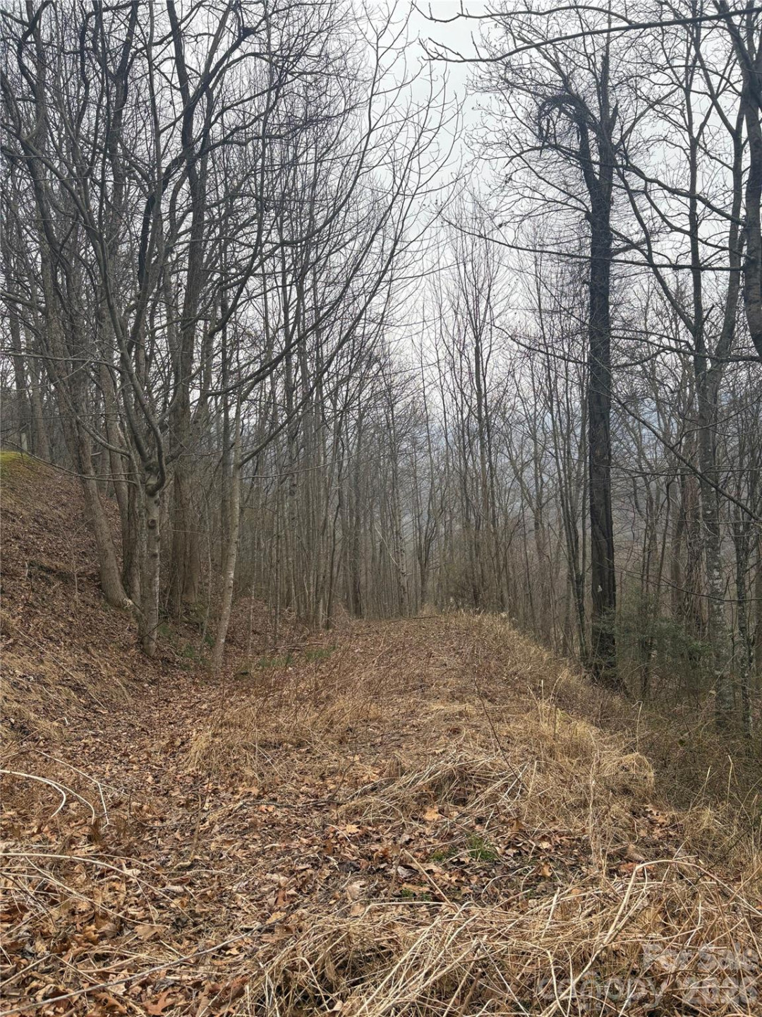 00 Country Club Drive #11 - Photo 5