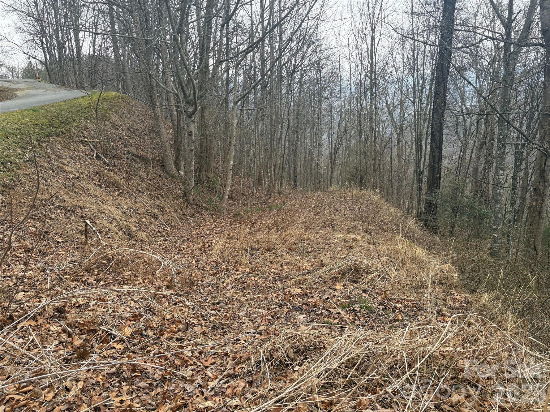 00 Country Club Drive #11 - Photo 6