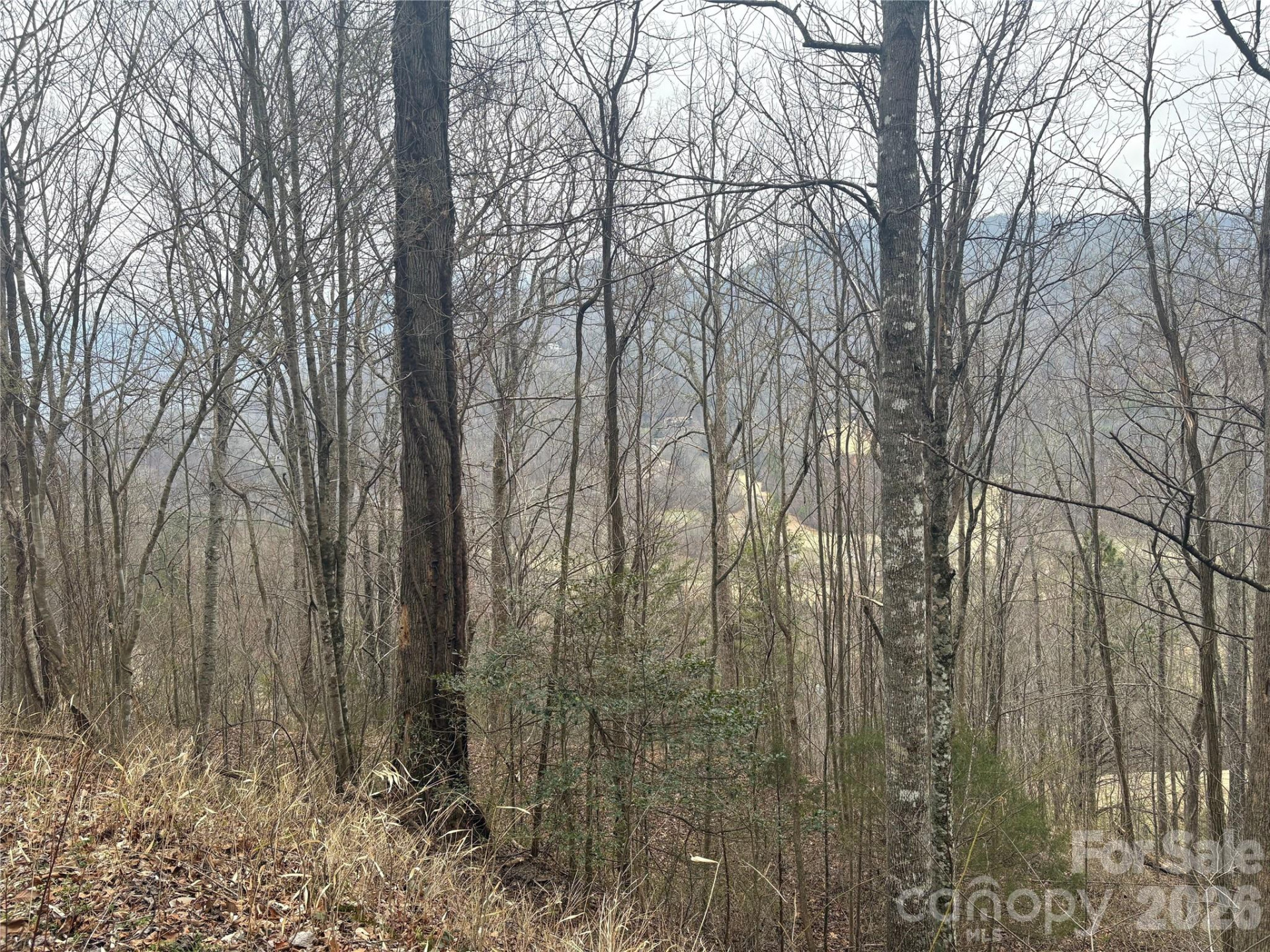 00 Country Club Drive #11 - Photo 7