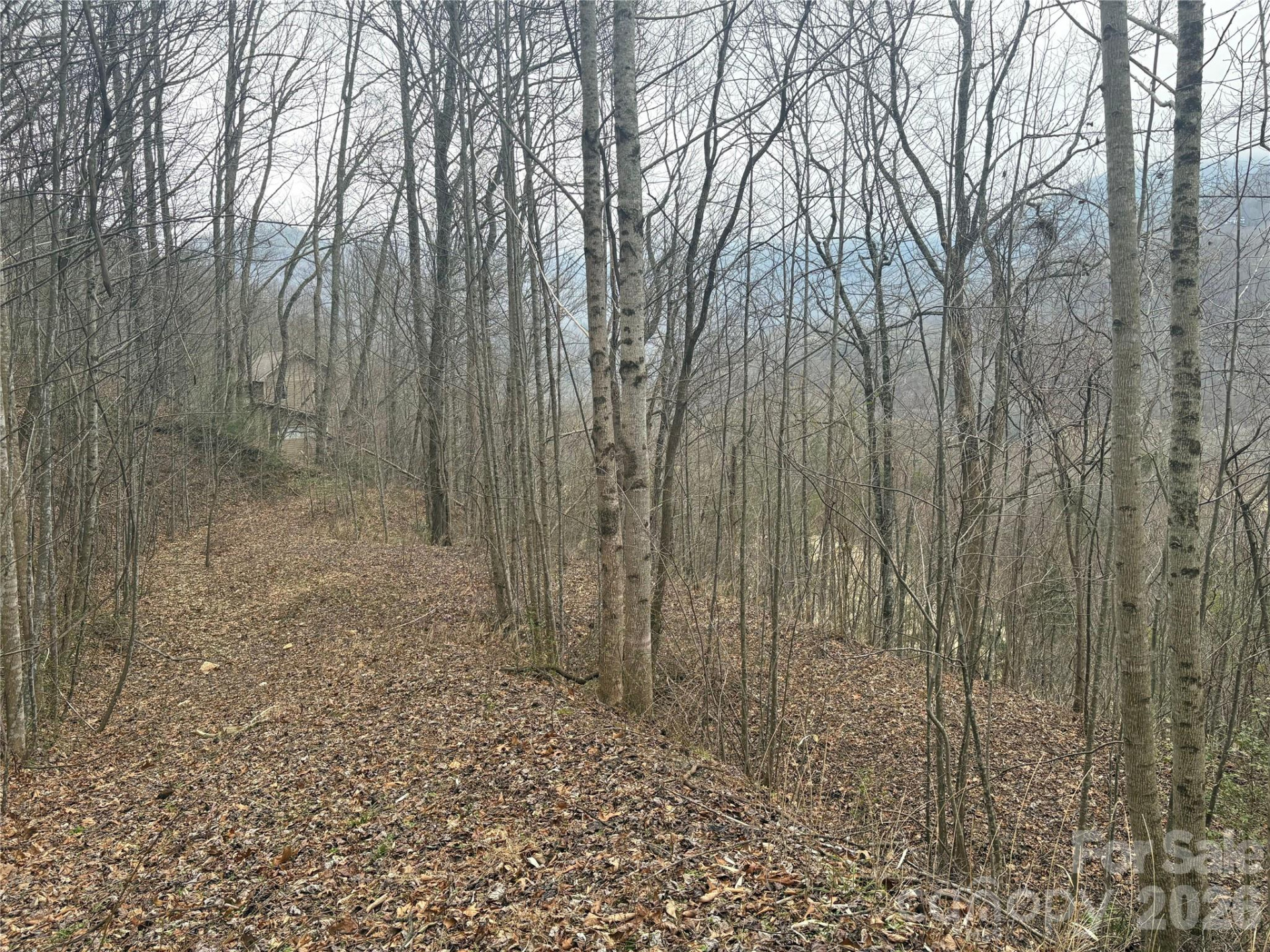 00 Country Club Drive #11 - Photo 9