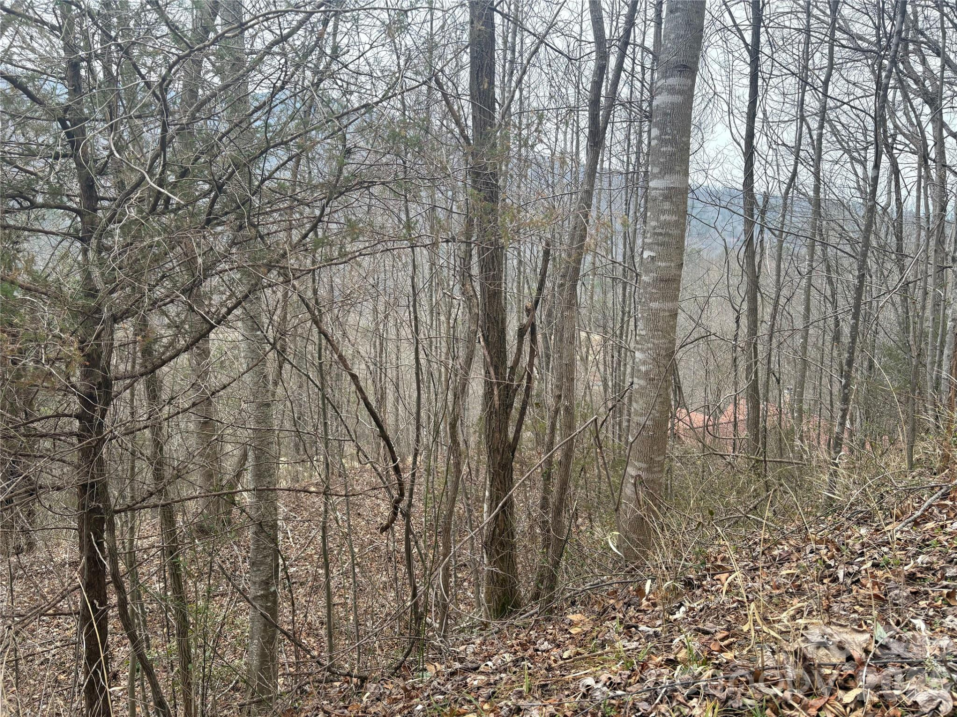 00 Country Club Drive #11 - Photo 10