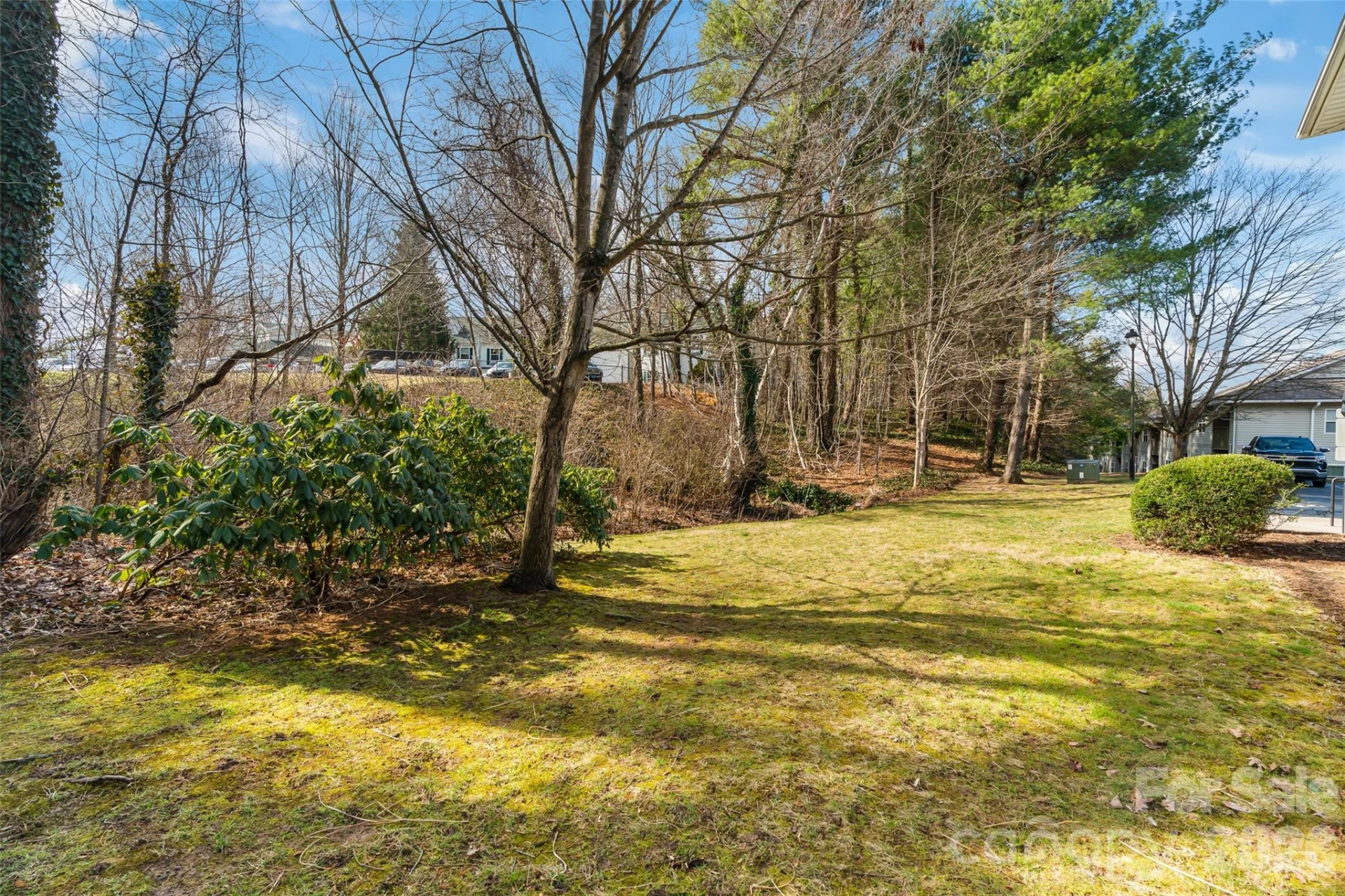 101 Carlyle Way - Photo 21