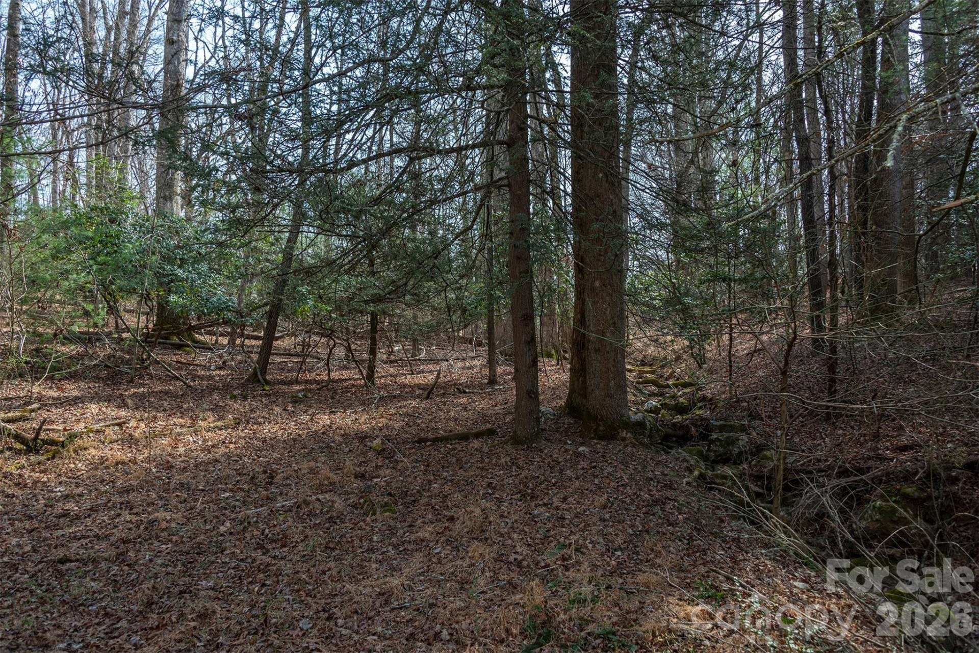 tbd Ball Gap Road - Photo 2