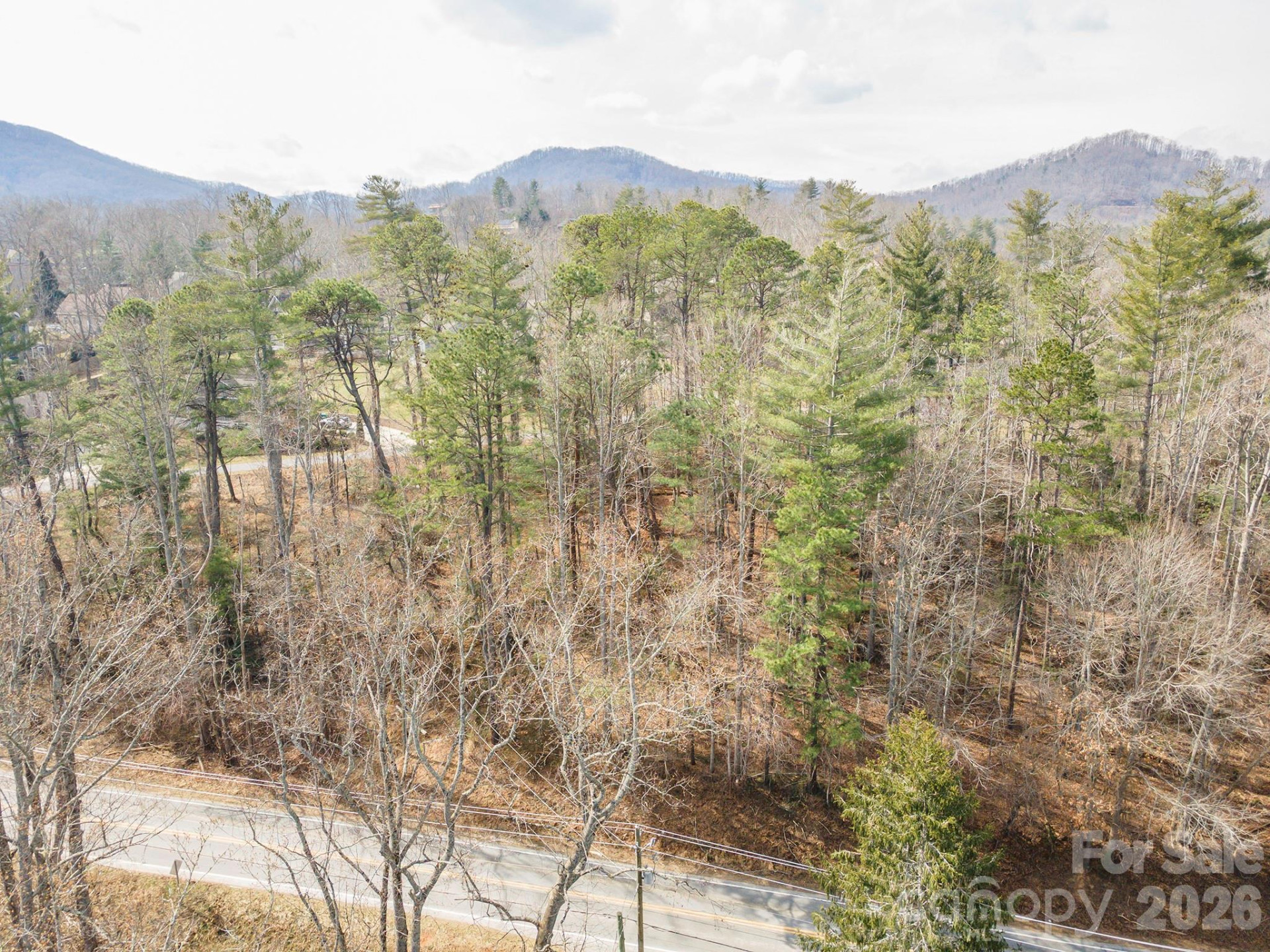 tbd Ball Gap Road - Photo 6