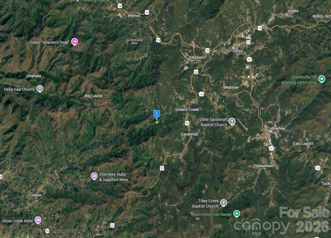 500 Brushy Fork Road - Photo 3