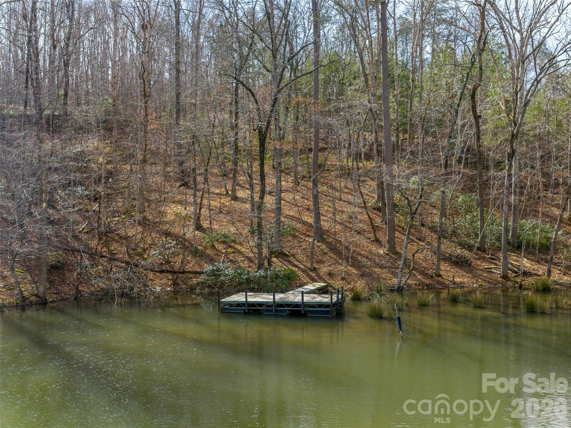 Lots 22 & 23 Lake Adger Parkway - Photo 2