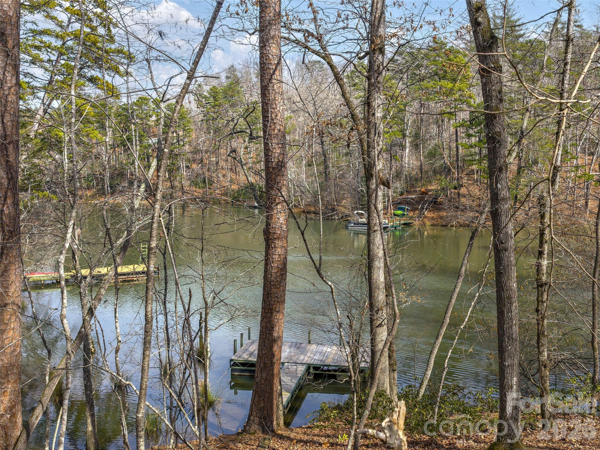 Lots 22 & 23 Lake Adger Parkway - Photo 3