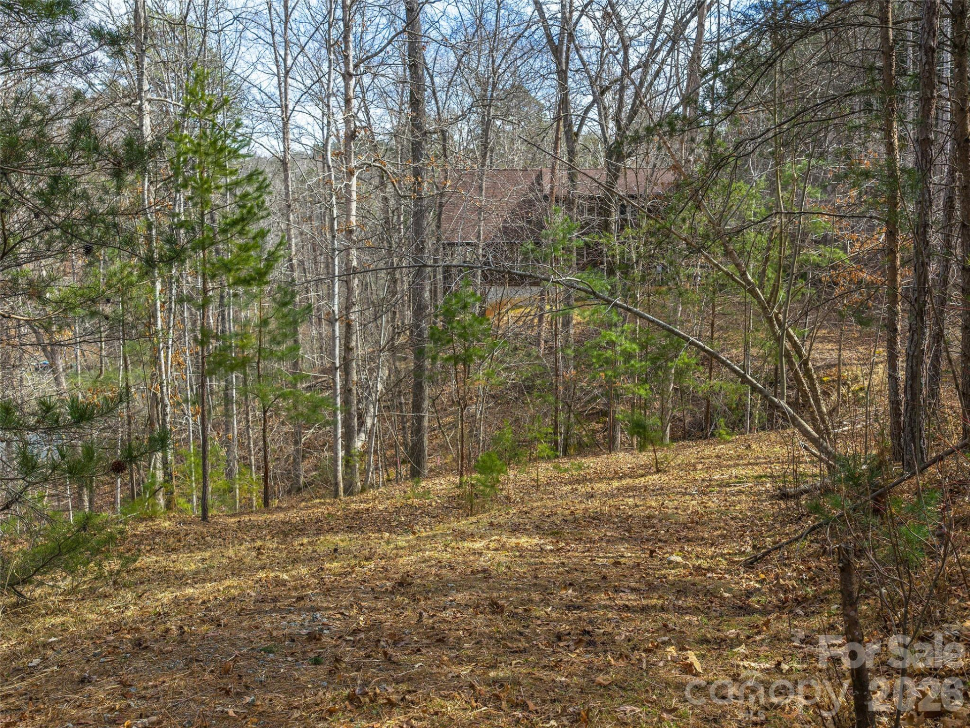 Lots 22 & 23 Lake Adger Parkway - Photo 4