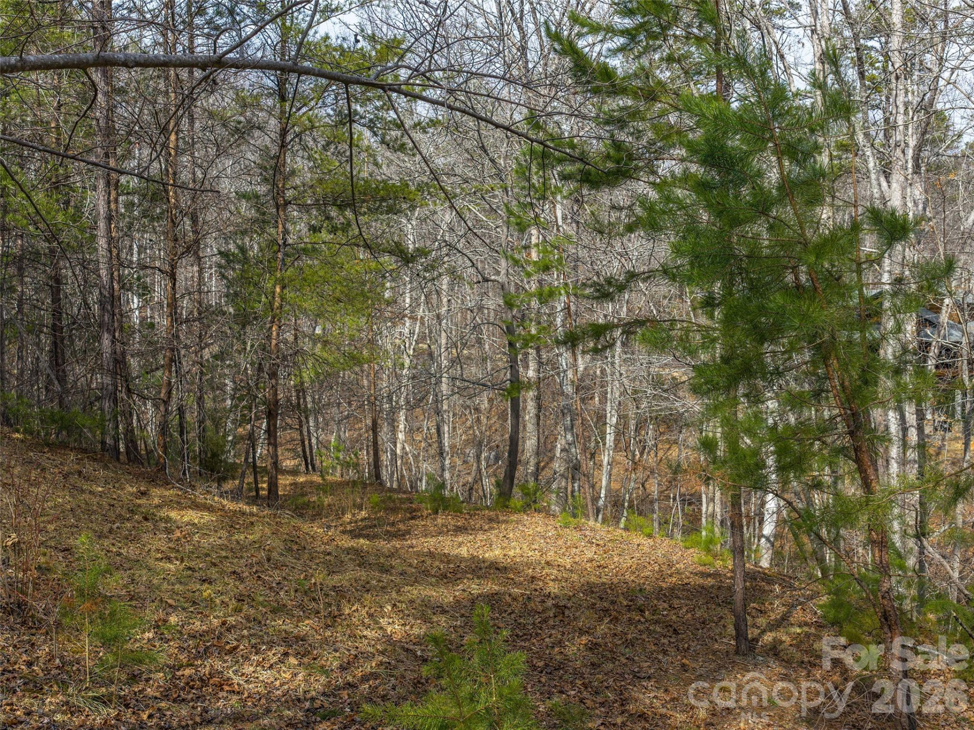 Lots 22 & 23 Lake Adger Parkway - Photo 5